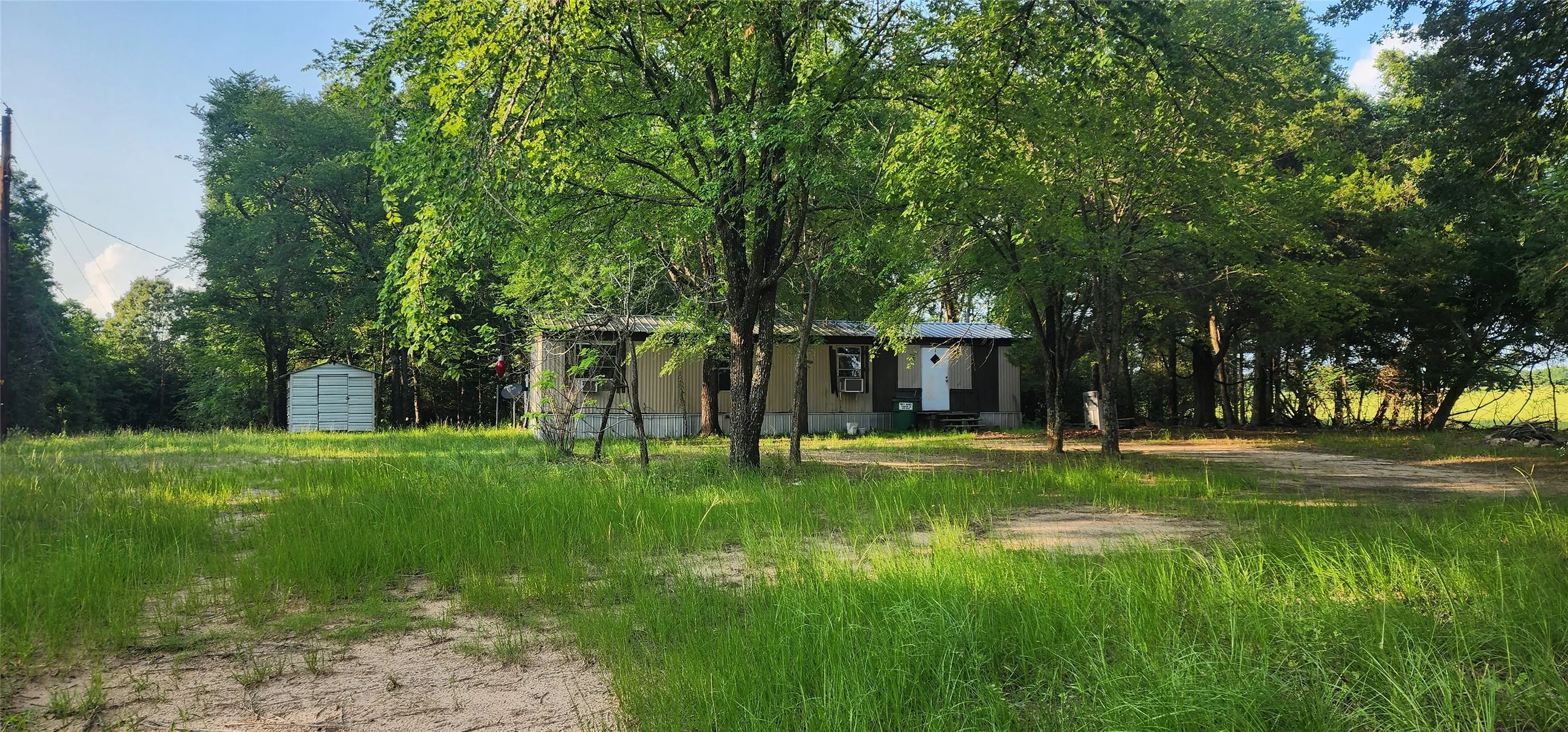 Rural property with mature trees, a detached storage shed, and a structure featuring multiple windows