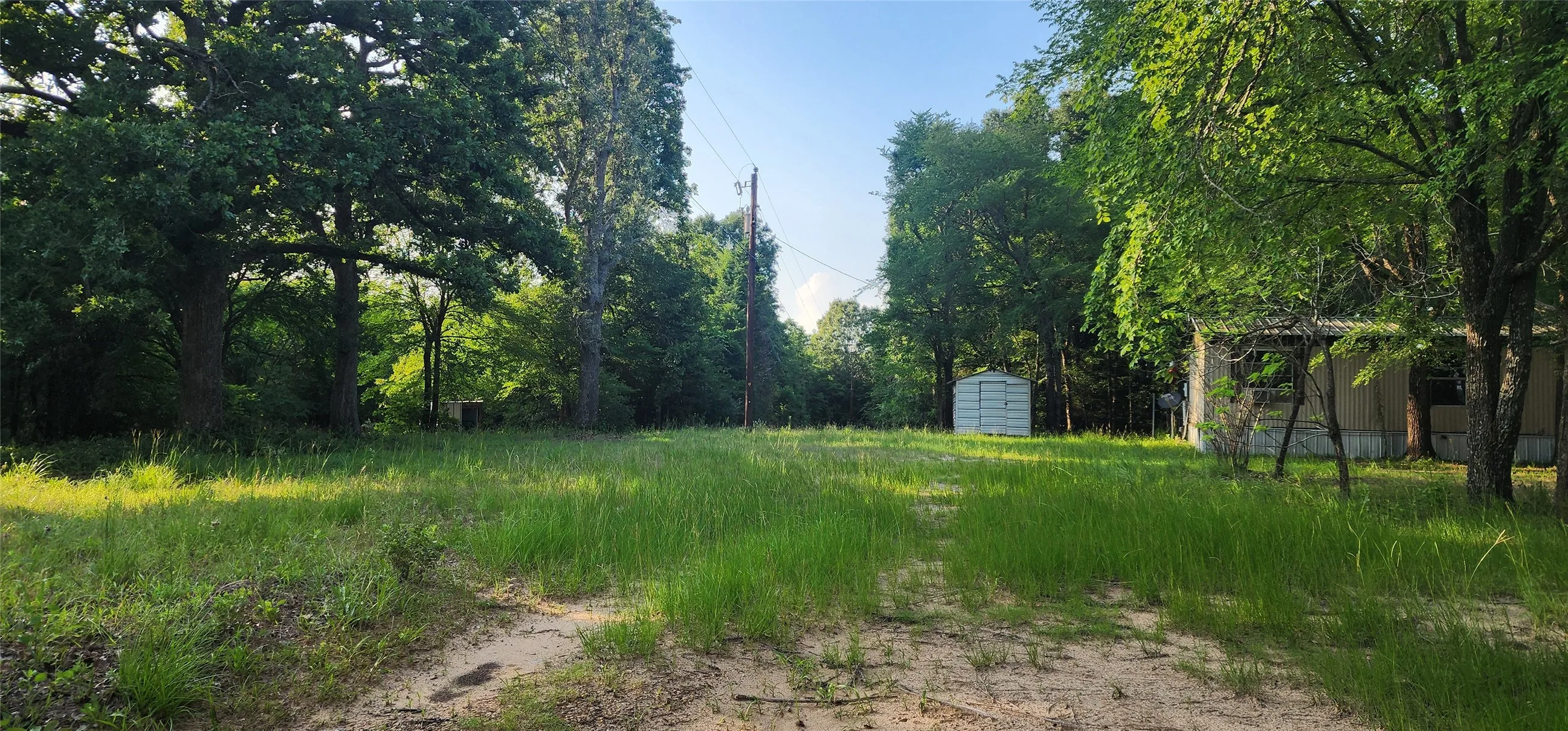 Expansive open lot featuring a natural, grassy landscape and mature trees