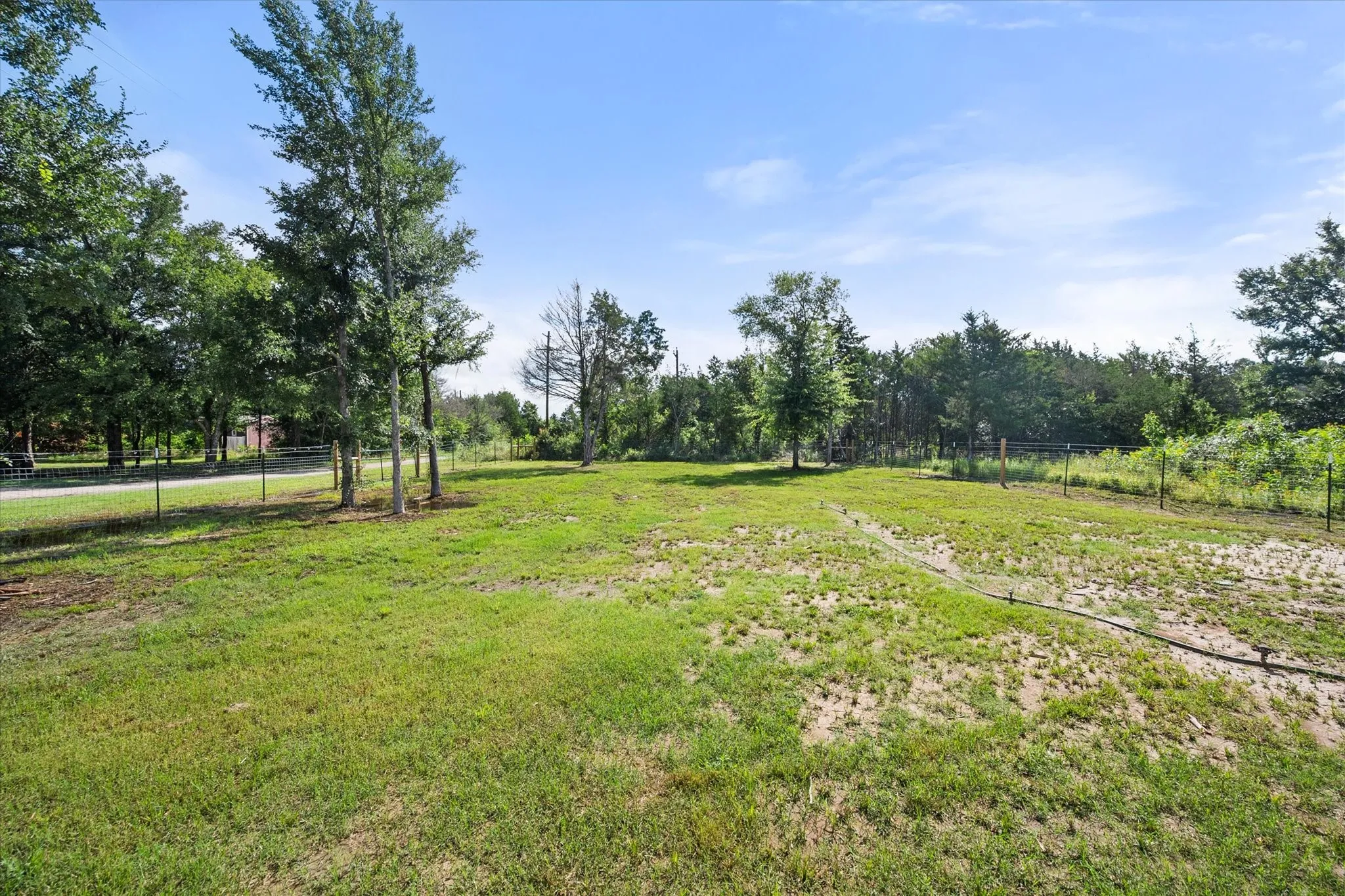 View from the back door.