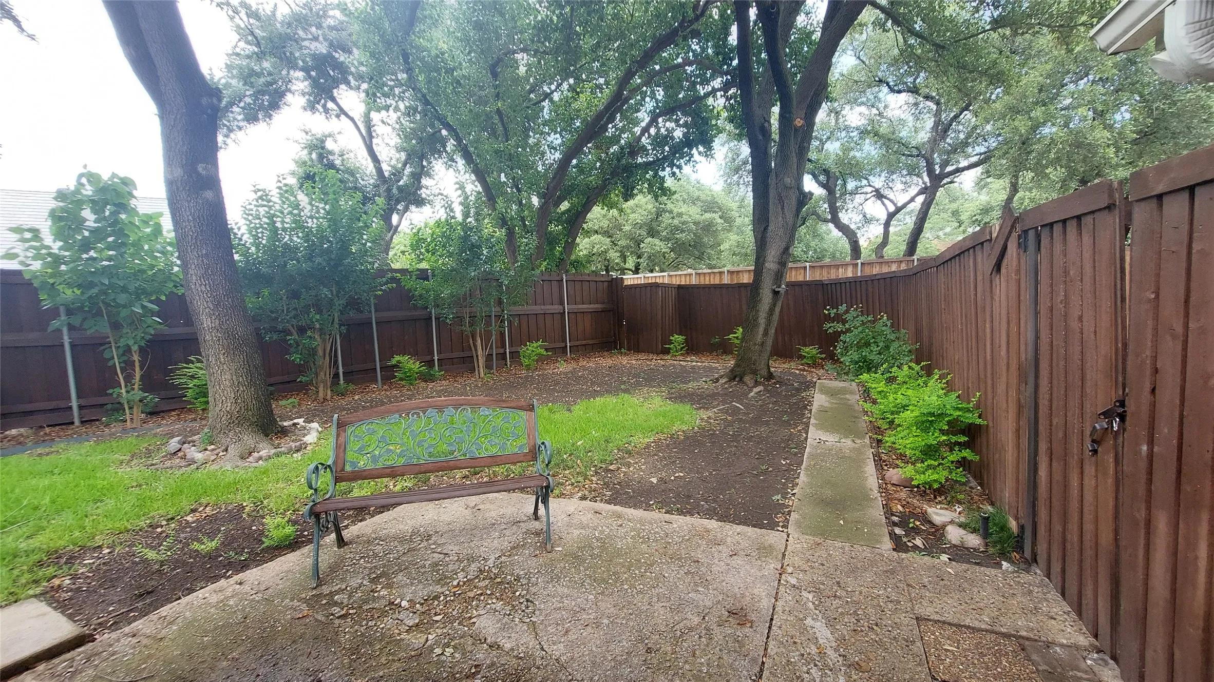 Shaded Back Yard