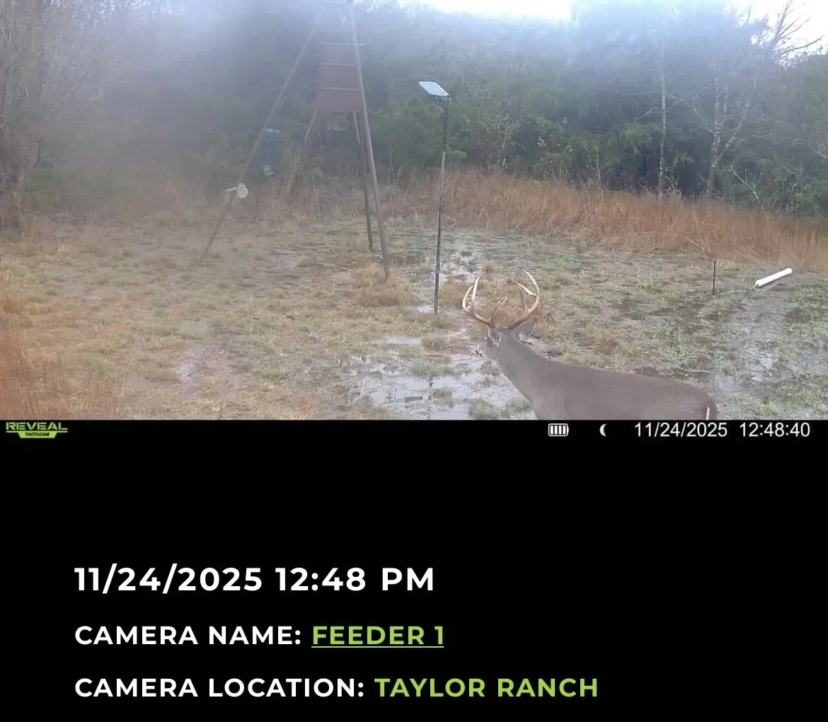 Property Camera
