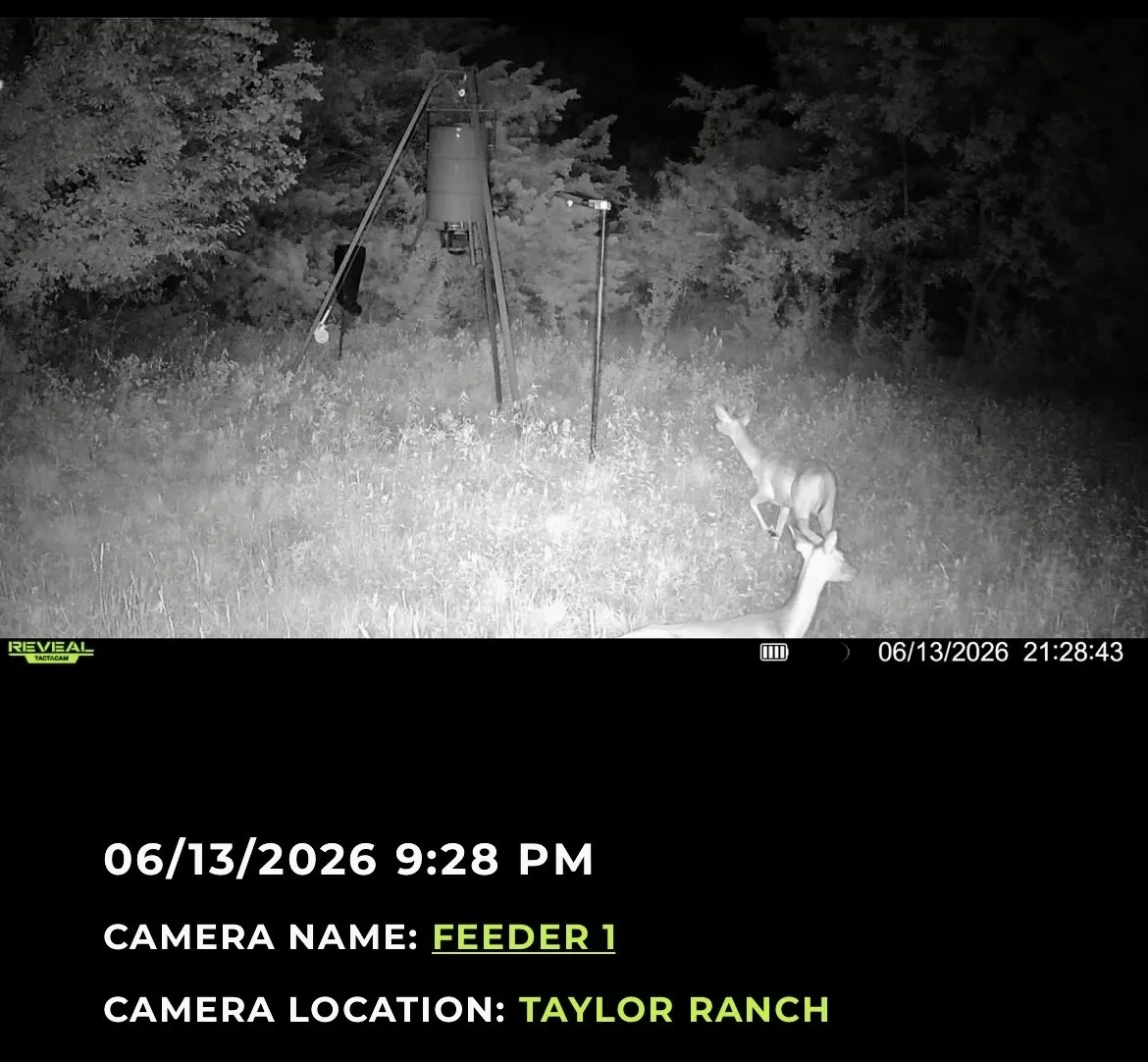 Property Camera