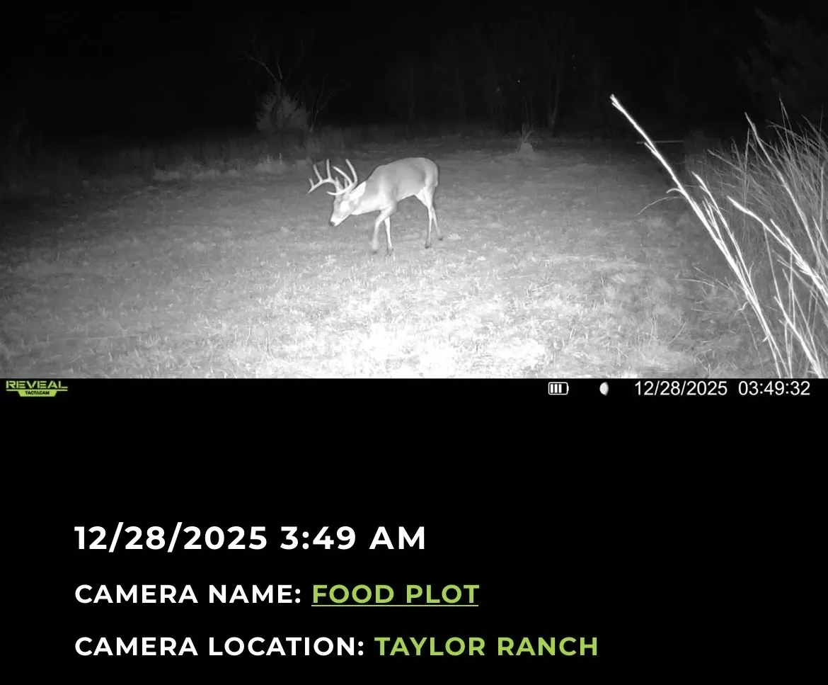 Property Camera