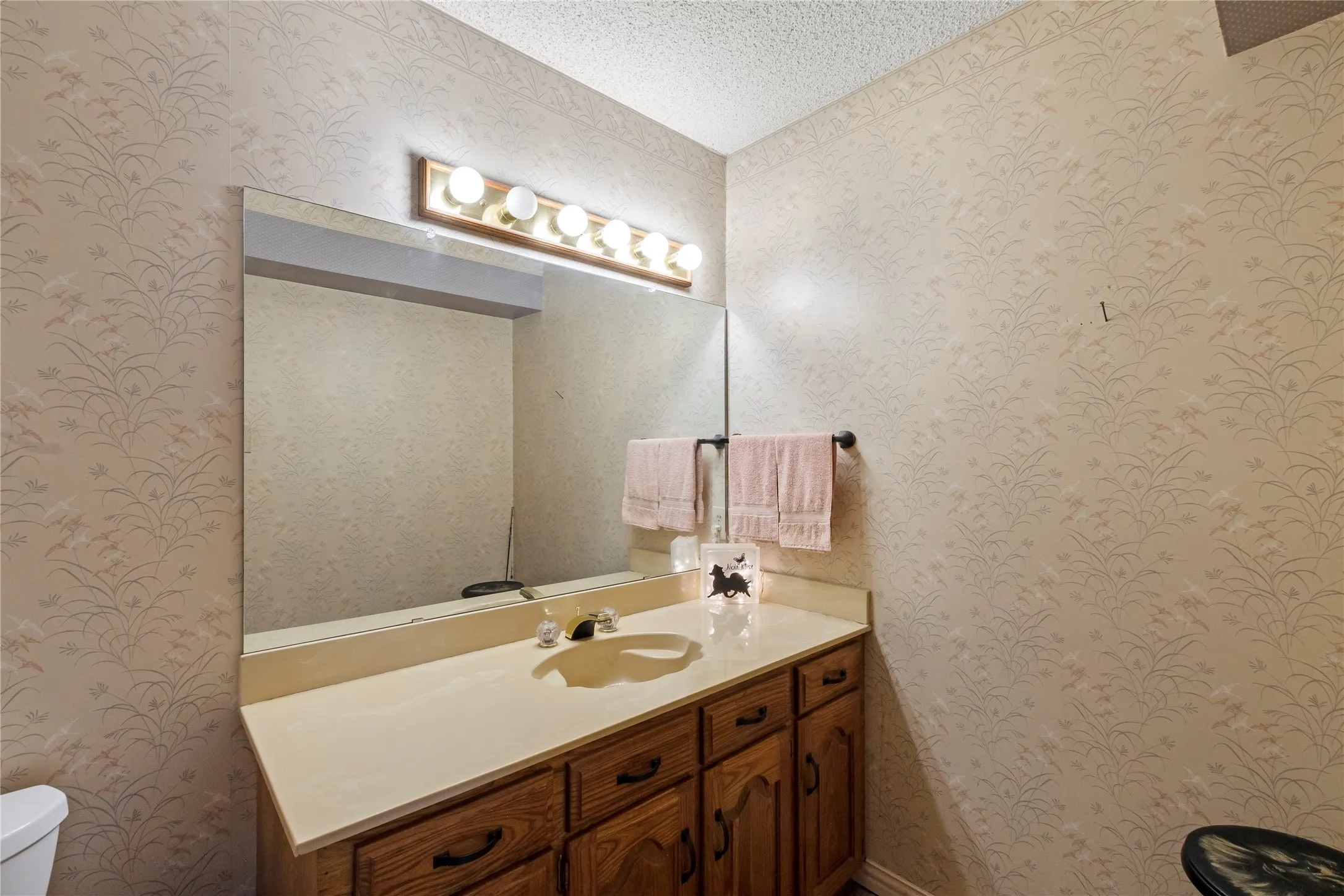 Bathroom vanity featuring a light-toned countertop with an integrated sink, wood-finish cabinetry with dark hardware, a large wall-mounted mirror, and a five-bulb vanity light fixture
