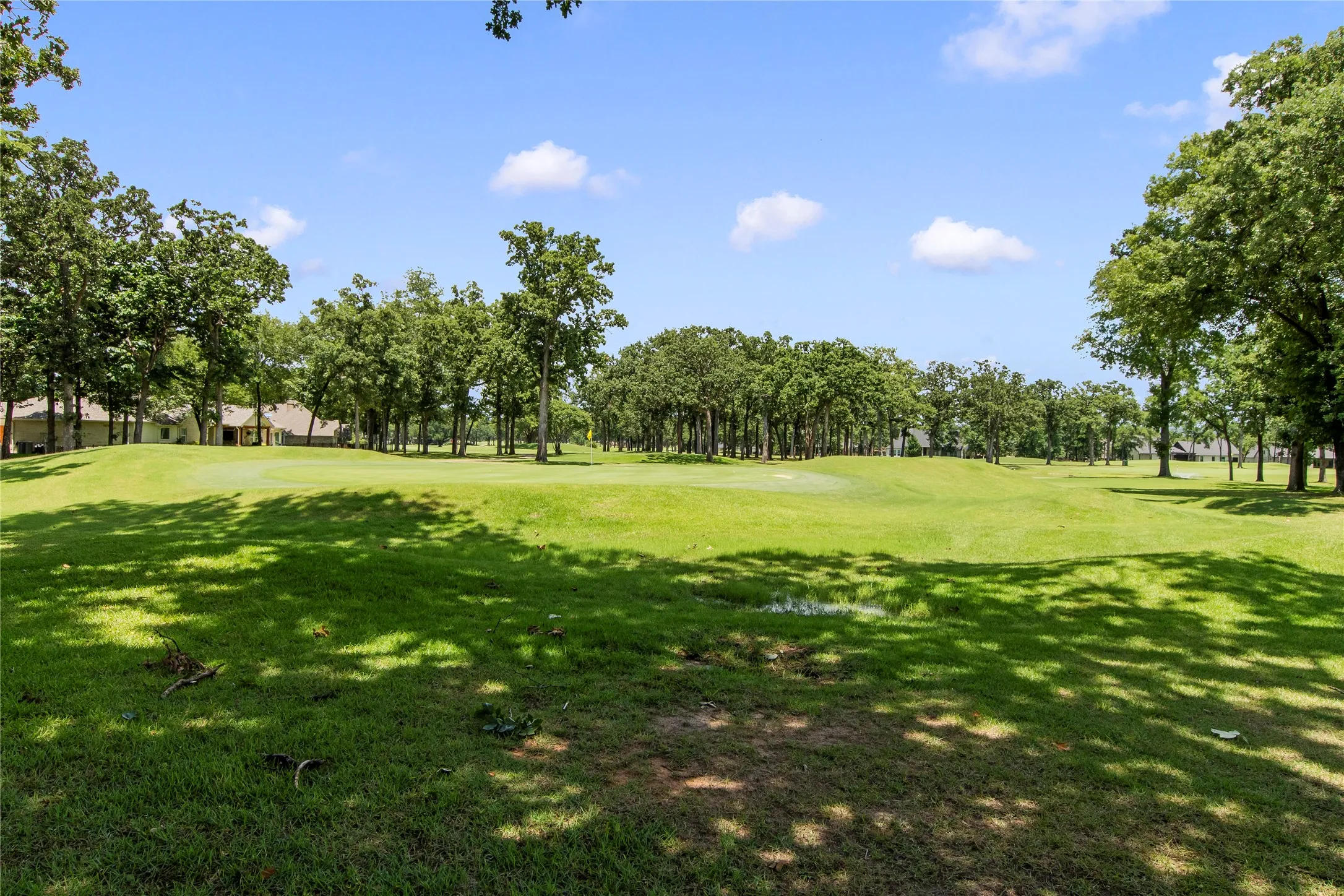 Golf course view form backyard.