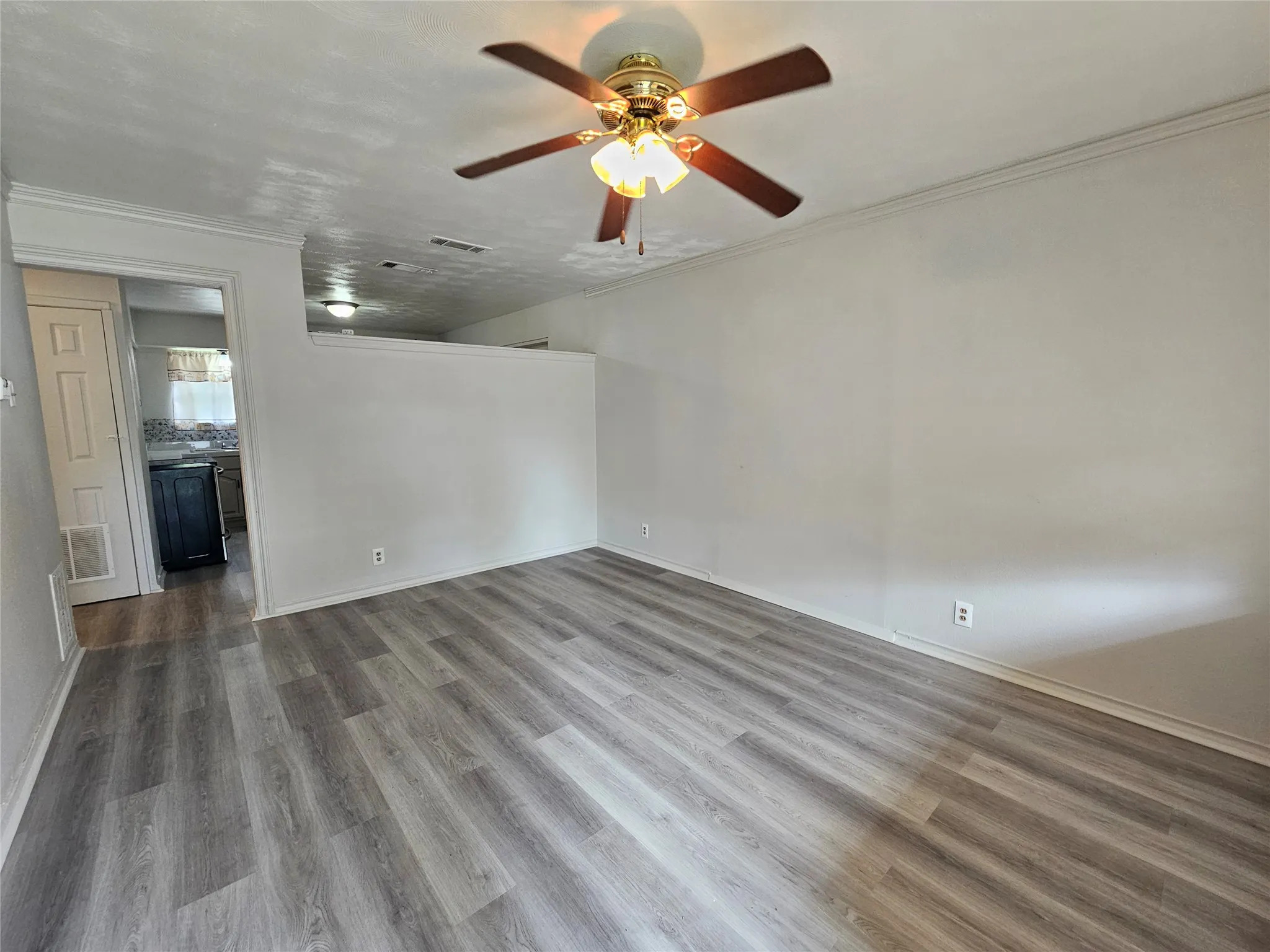 Entrance and spacious living room