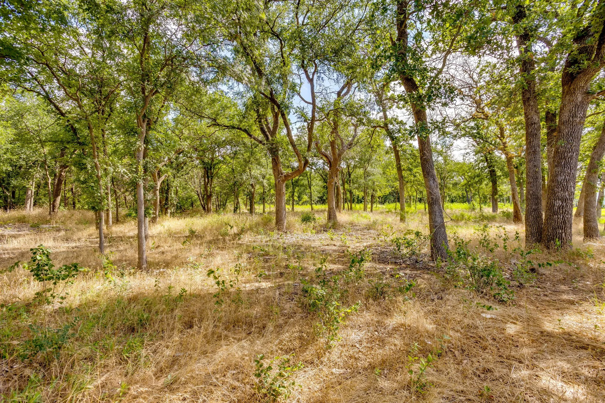 Single Family Residence For Sale in Hood County , 5600 Matlock Road, Granbury, Texas 76049, 3 Bedrooms, 2 Bathrooms, 1 Garage spaces, 1,455 Sqft, built in 1990, Price $900,000, mls#21305781, Real Estate Agent in Granbury, Homes For Sale in Hood county, Homes For Sale in Granbury, Realtor in Granbury Texas, Real Estate Brokerage Independent Realty Texas, Luminita Cordes Realtor