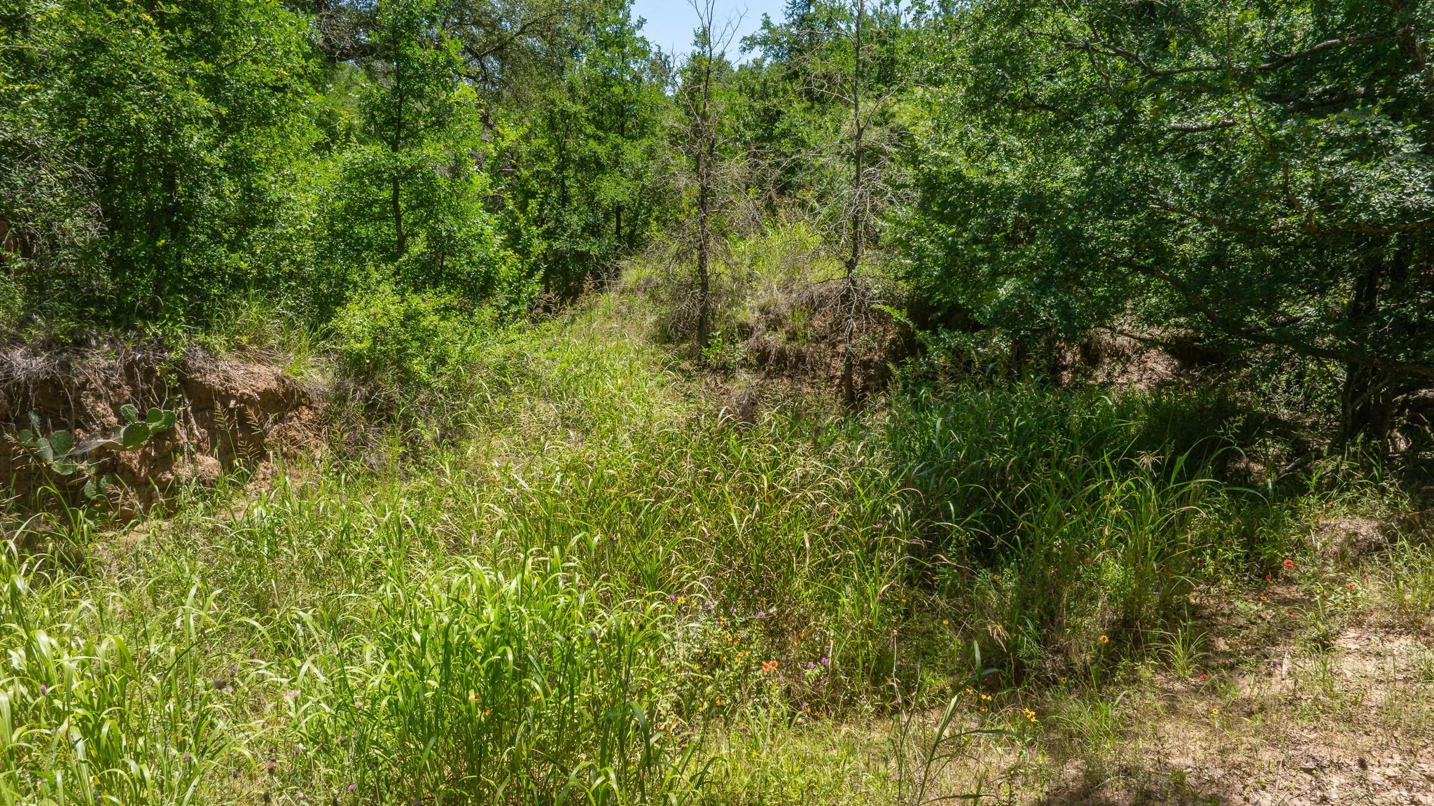 Unimproved Land For Sale in Erath County , TBD Tr 1 CR 164, Stephenville, Texas 76401, 0, 0, Garage spaces, 0 Sqft, built in 0, mls#21307796, Real Estate Agent in Stephenville, Homes For Sale in Erath county, Homes For Sale in Stephenville, Realtor in Stephenville Texas, Real Estate Brokerage Independent Realty Texas, Luminita Cordes Realtor