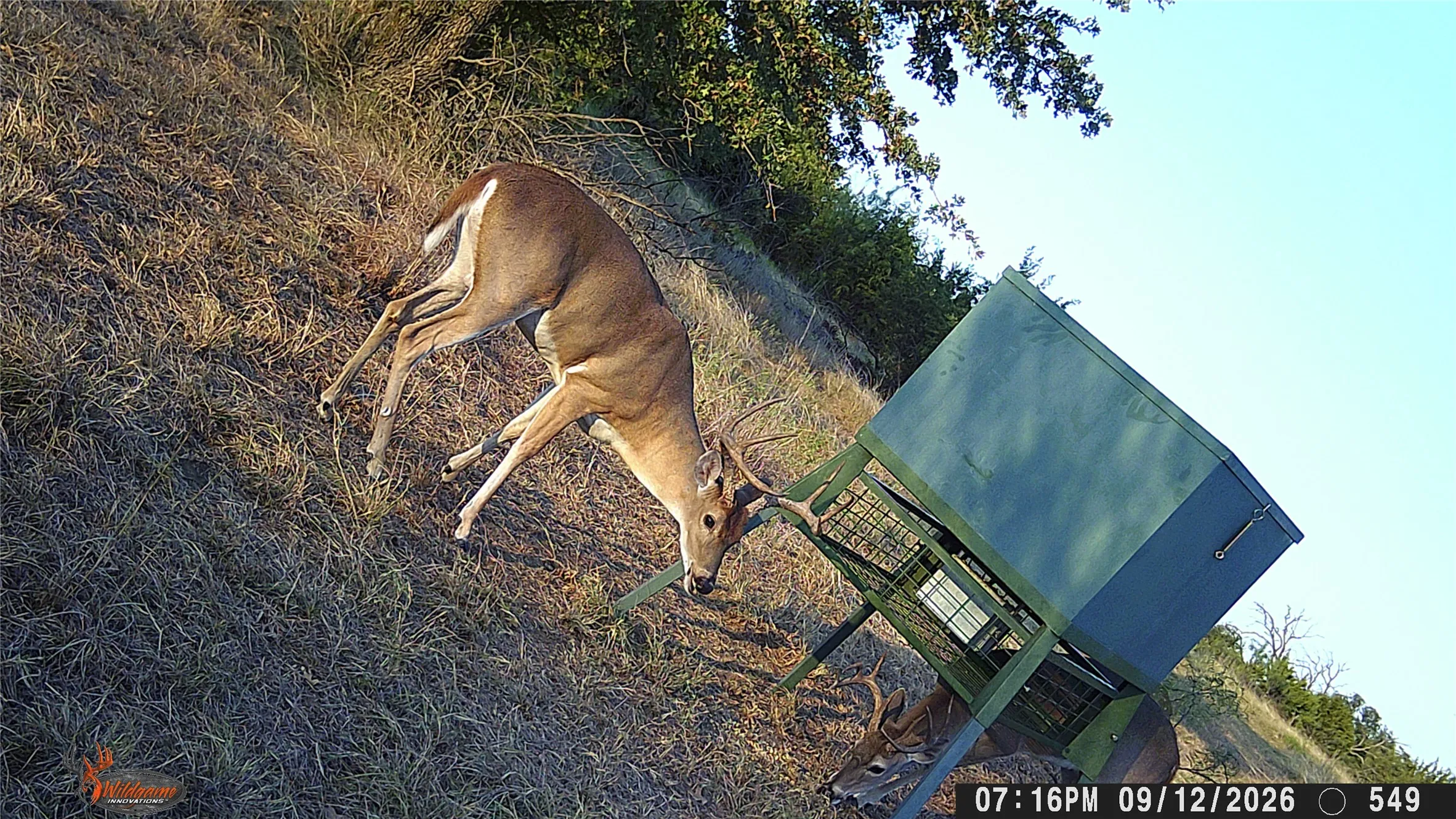 Unimproved Land For Sale in Erath County , TBD Tr 1 CR 164, Stephenville, Texas 76401, 0, 0, Garage spaces, 0 Sqft, built in 0, mls#21307796, Real Estate Agent in Stephenville, Homes For Sale in Erath county, Homes For Sale in Stephenville, Realtor in Stephenville Texas, Real Estate Brokerage Independent Realty Texas, Luminita Cordes Realtor