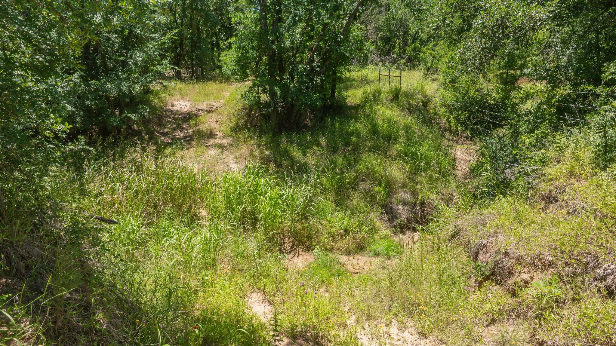 Unimproved Land For Sale in Erath County , TBD Tr 1 CR 164, Stephenville, Texas 76401, 0, 0, Garage spaces, 0 Sqft, built in 0, mls#21307796, Real Estate Agent in Stephenville, Homes For Sale in Erath county, Homes For Sale in Stephenville, Realtor in Stephenville Texas, Real Estate Brokerage Independent Realty Texas, Luminita Cordes Realtor