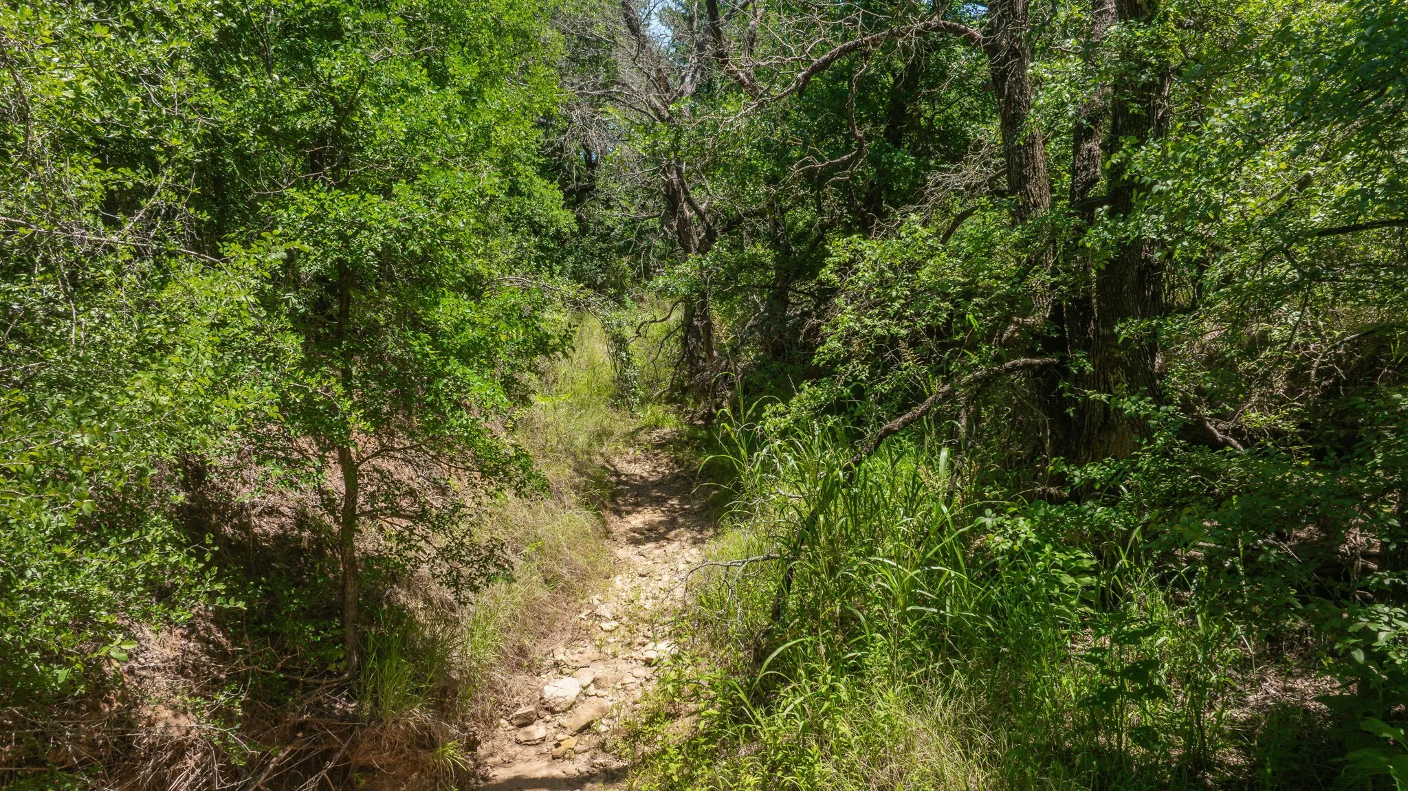 Unimproved Land For Sale in Erath County , TBD Tr 1 CR 164, Stephenville, Texas 76401, 0, 0, Garage spaces, 0 Sqft, built in 0, mls#21307796, Real Estate Agent in Stephenville, Homes For Sale in Erath county, Homes For Sale in Stephenville, Realtor in Stephenville Texas, Real Estate Brokerage Independent Realty Texas, Luminita Cordes Realtor