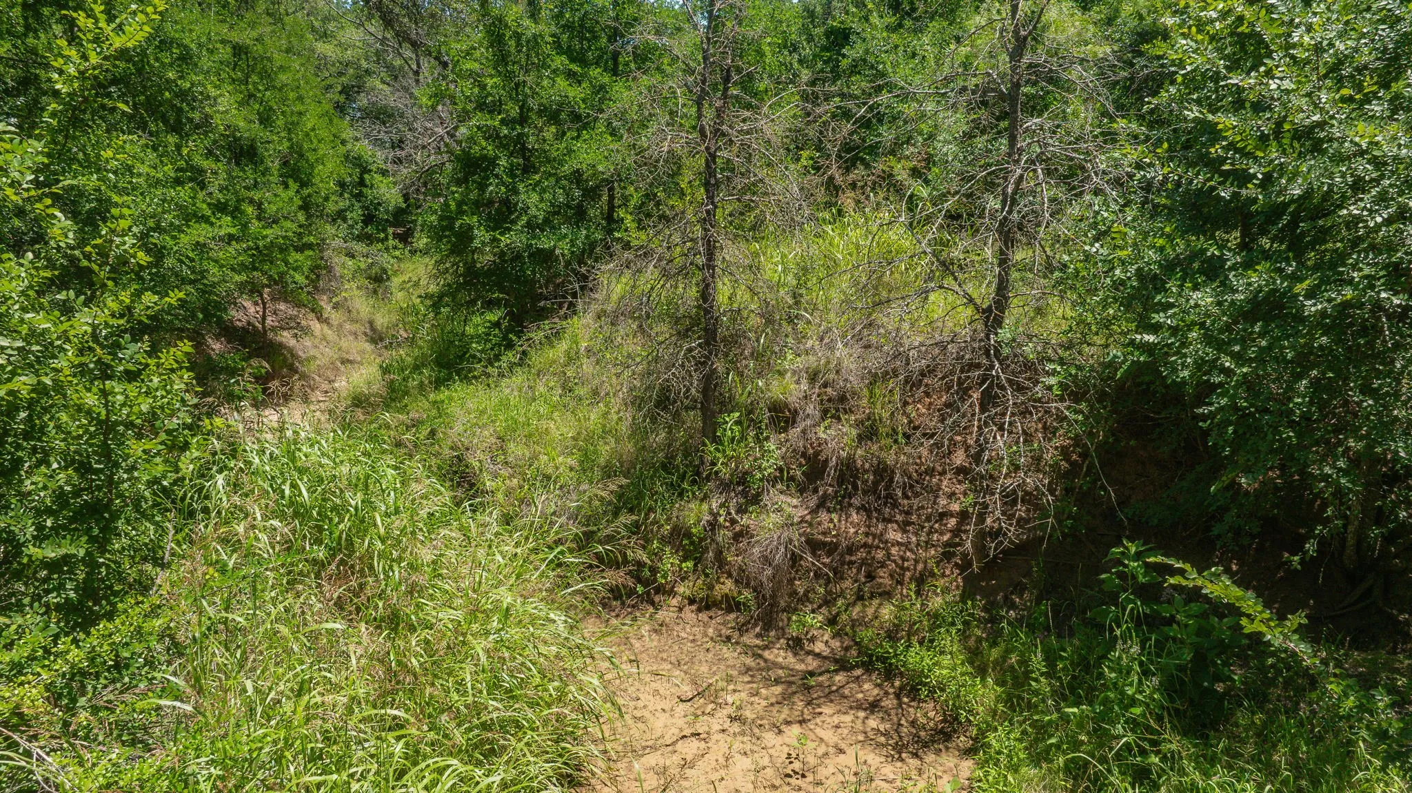 Unimproved Land For Sale in Erath County , TBD Tr 1 CR 164, Stephenville, Texas 76401, 0, 0, Garage spaces, 0 Sqft, built in 0, mls#21307796, Real Estate Agent in Stephenville, Homes For Sale in Erath county, Homes For Sale in Stephenville, Realtor in Stephenville Texas, Real Estate Brokerage Independent Realty Texas, Luminita Cordes Realtor