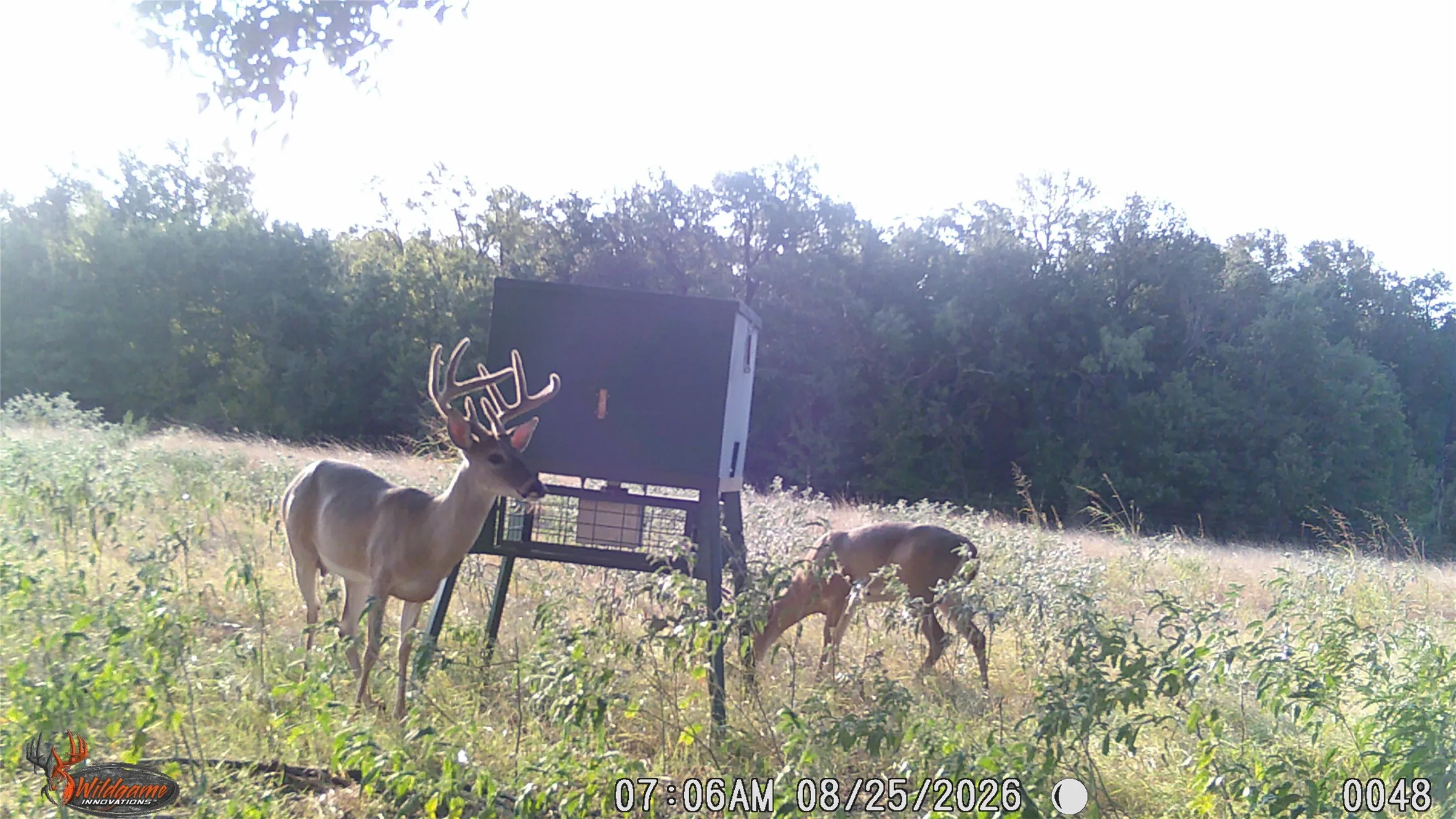 Unimproved Land For Sale in Erath County , TBD Tr 1 CR 164, Stephenville, Texas 76401, 0, 0, Garage spaces, 0 Sqft, built in 0, mls#21307796, Real Estate Agent in Stephenville, Homes For Sale in Erath county, Homes For Sale in Stephenville, Realtor in Stephenville Texas, Real Estate Brokerage Independent Realty Texas, Luminita Cordes Realtor