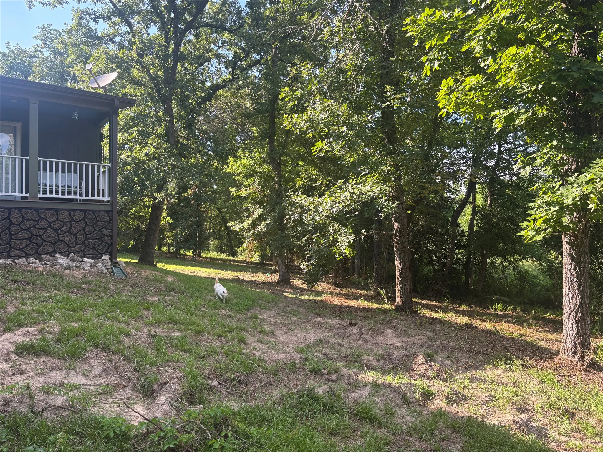 Side Juliet Porch Elevation