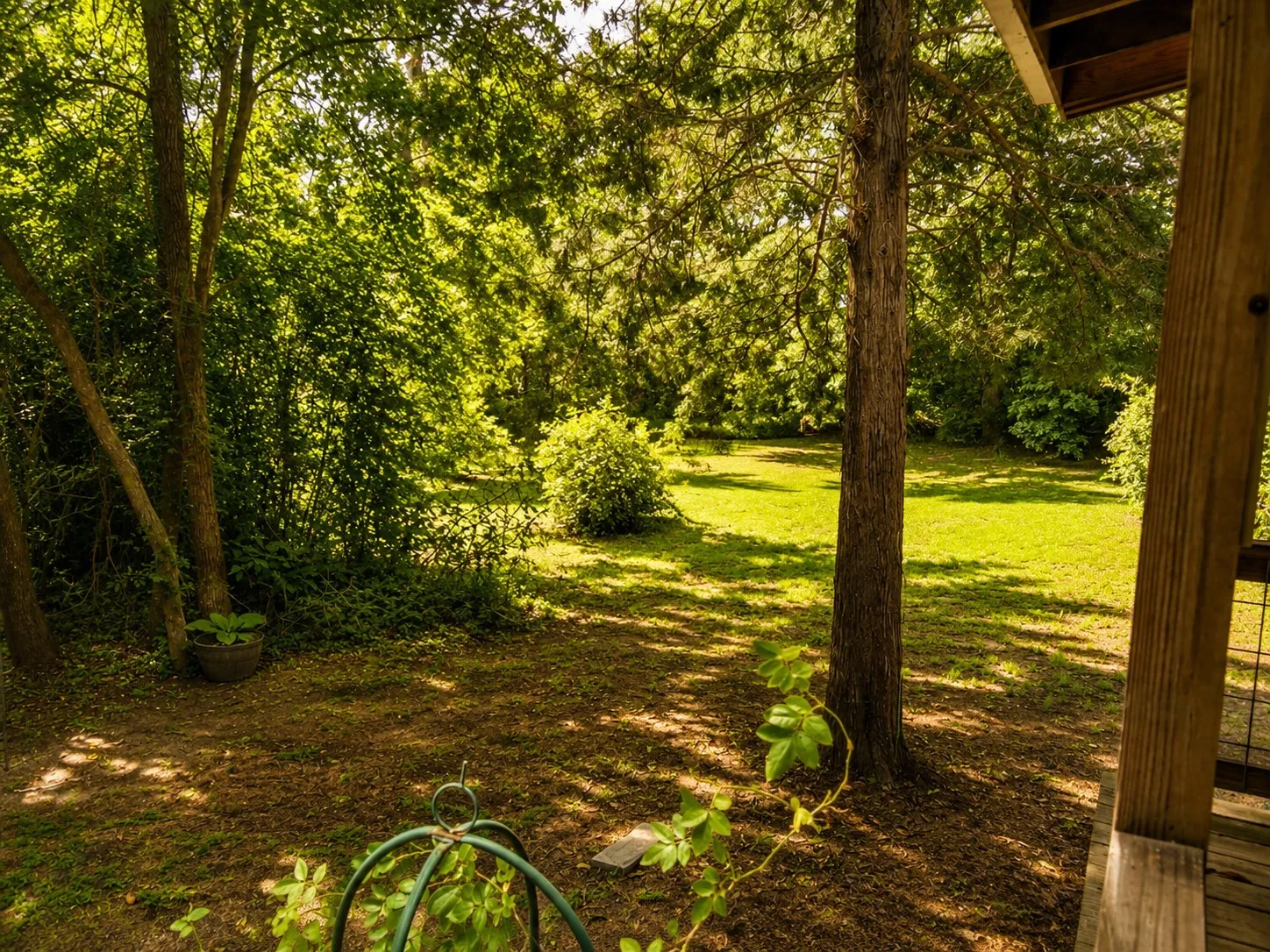 Expansive grounds featuring mature trees and a substantial grassy area