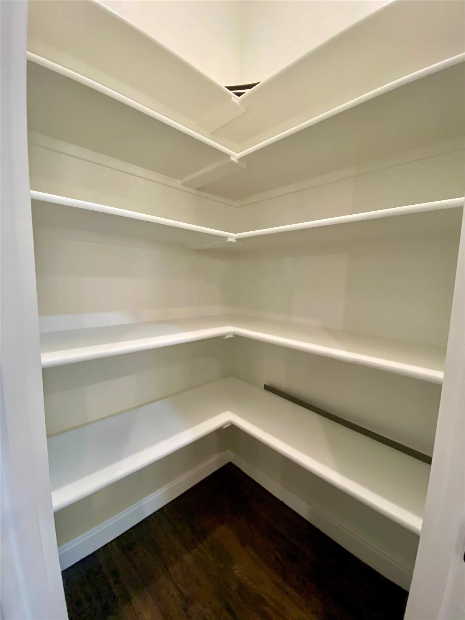 Huge corner pantry with lots of room for storage