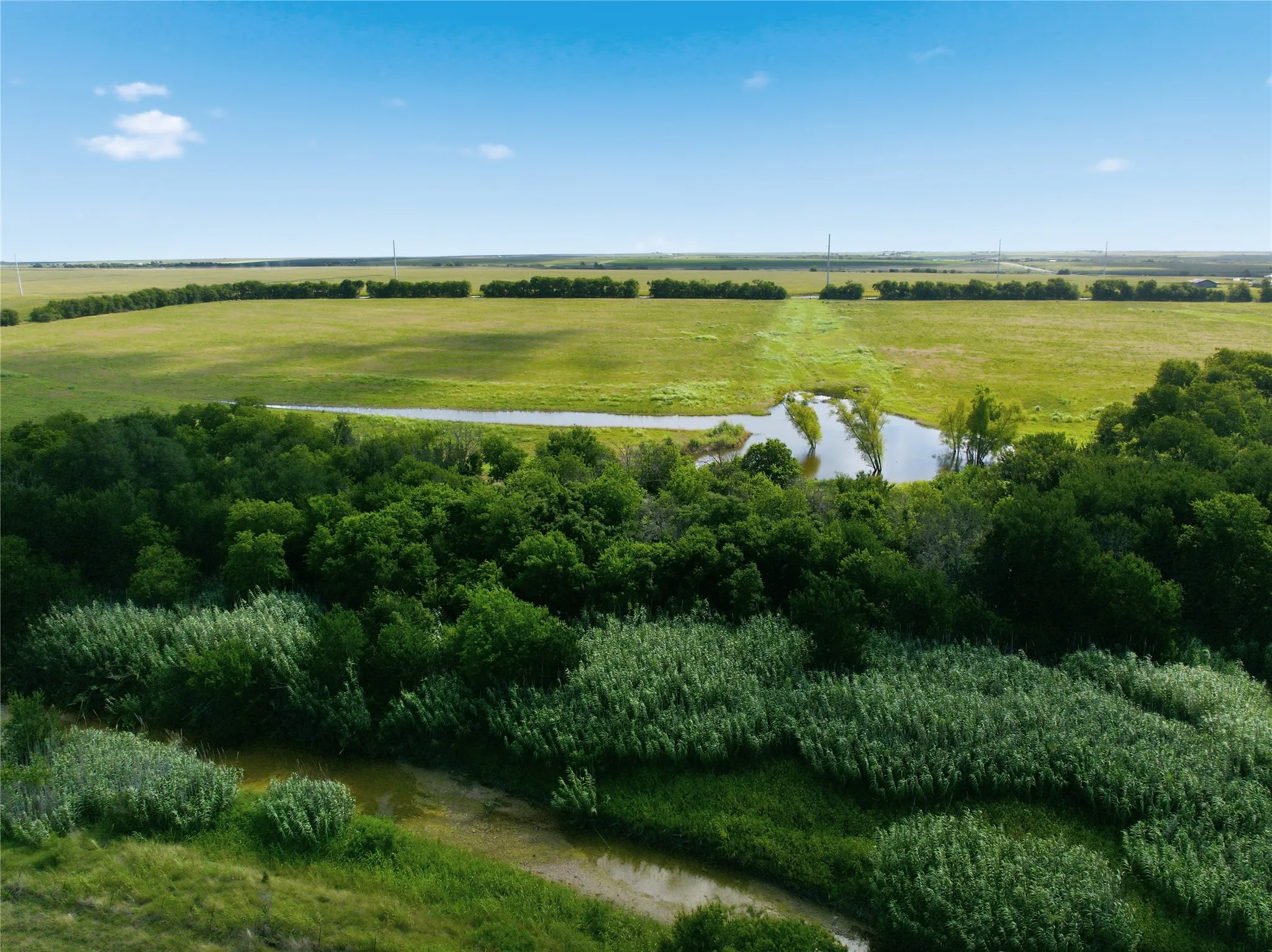 Expansive green fields featuring natural water features and dense tree lines