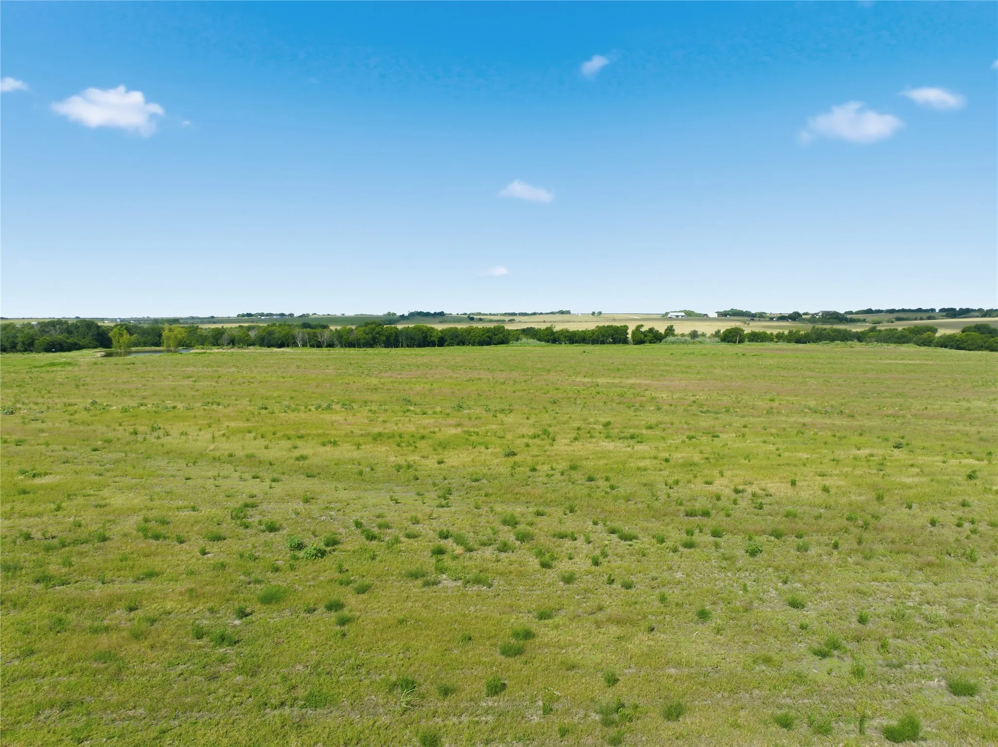 Expansive open field with green ground cover and a clear blue sky