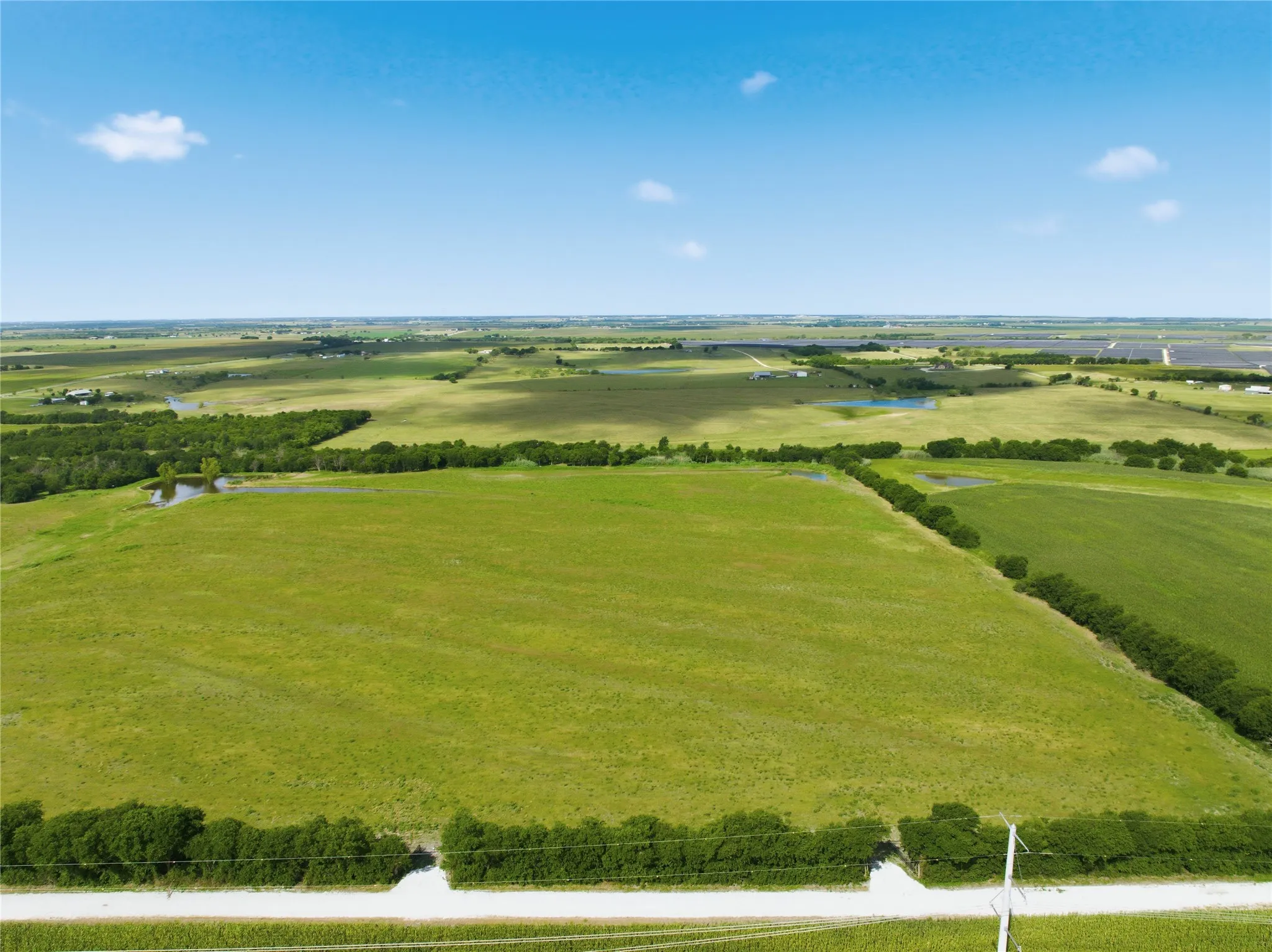 Expansive green pastureland bordered by lush trees and a clear gravel road