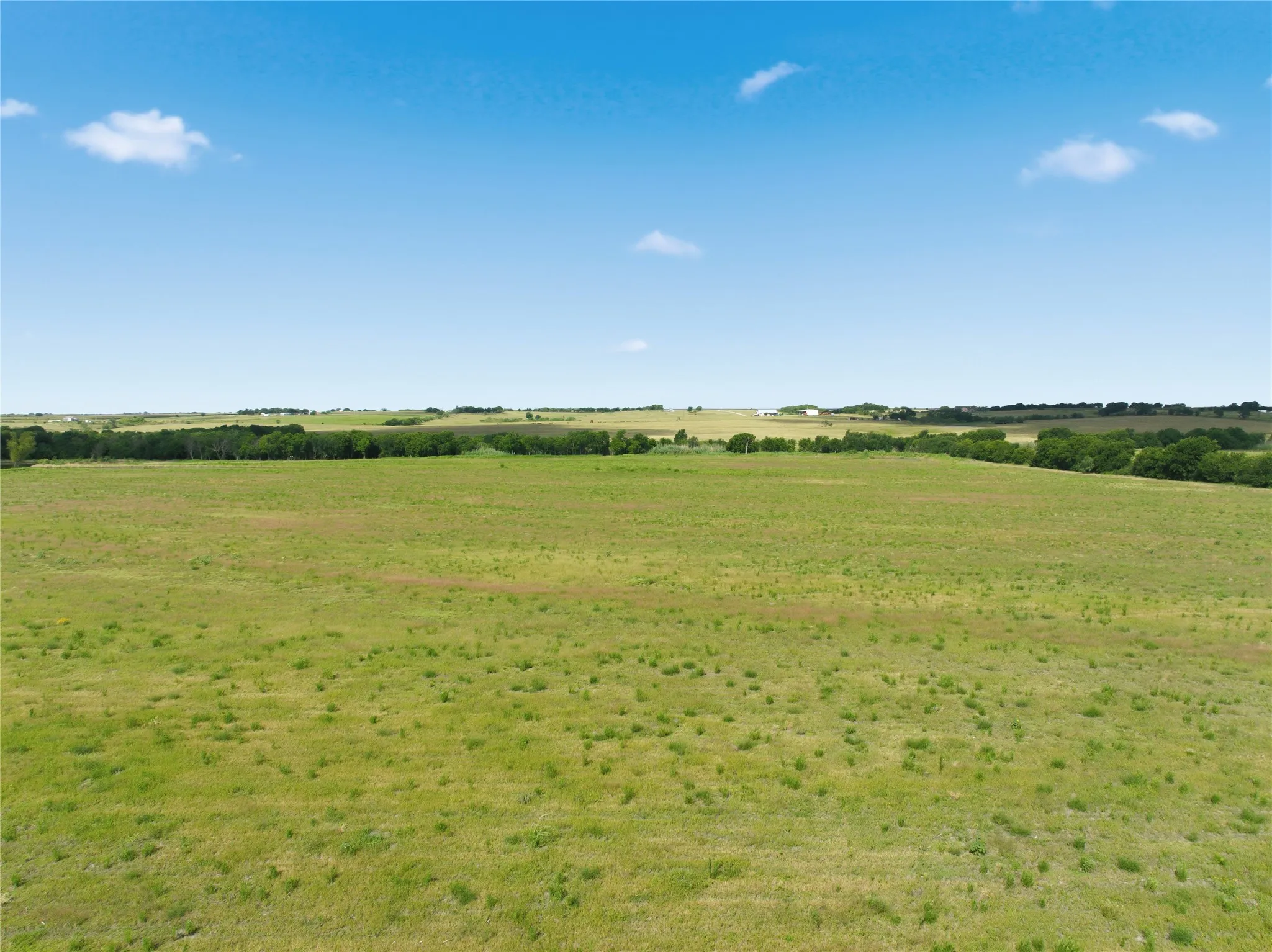 Expansive green field under a clear blue sky, featuring a distant tree line and rolling hills