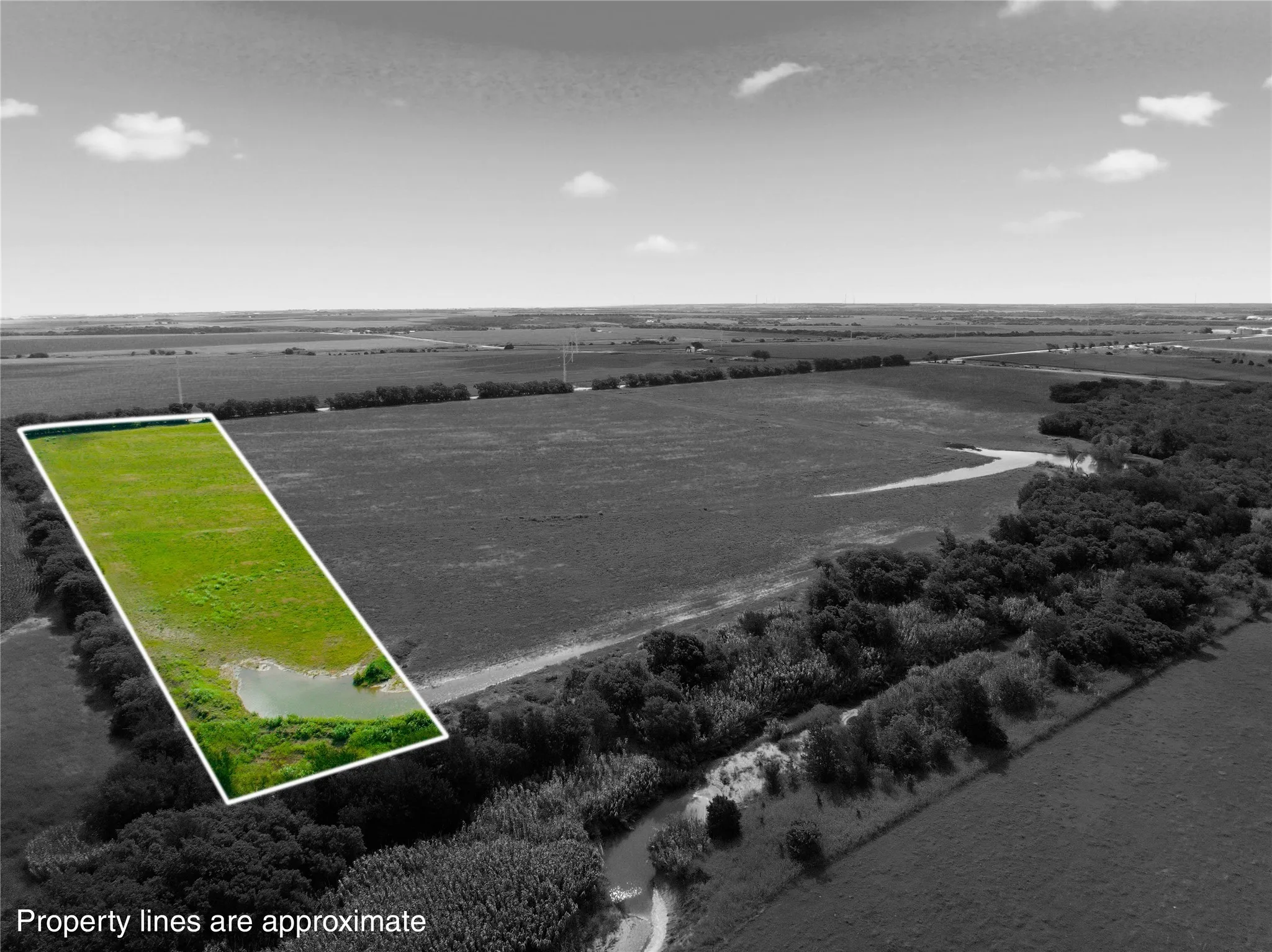 Grassed acreage featuring a small pond and surrounding vegetation, with expansive fields in the background