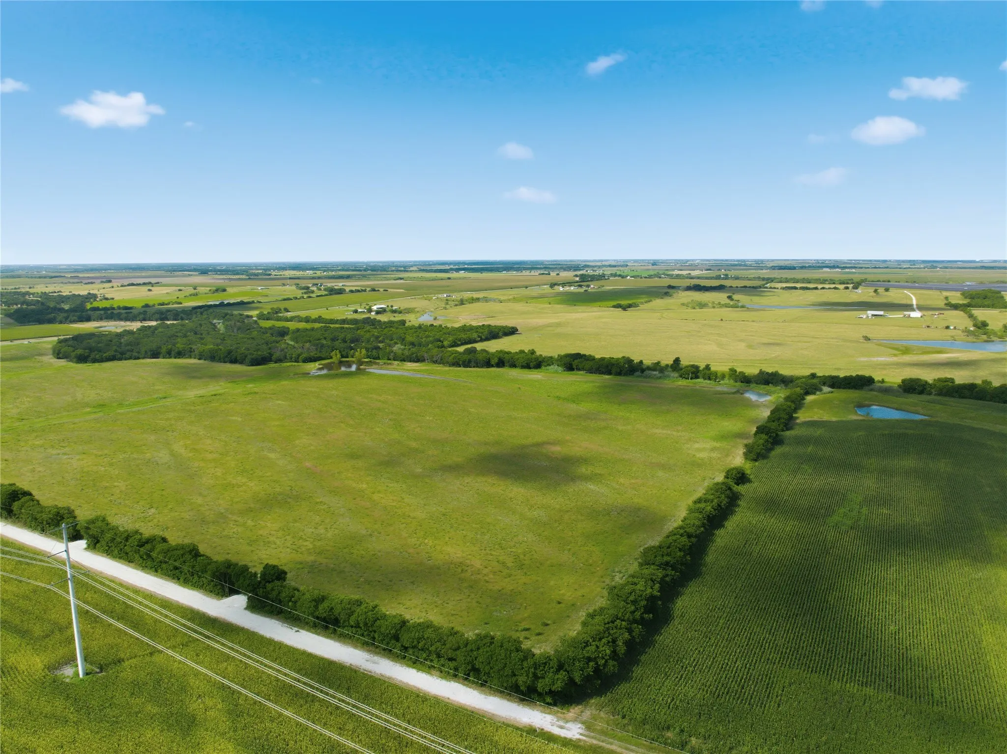 Expansive undeveloped land featuring a gravel road, mature tree lines, and a visible pond