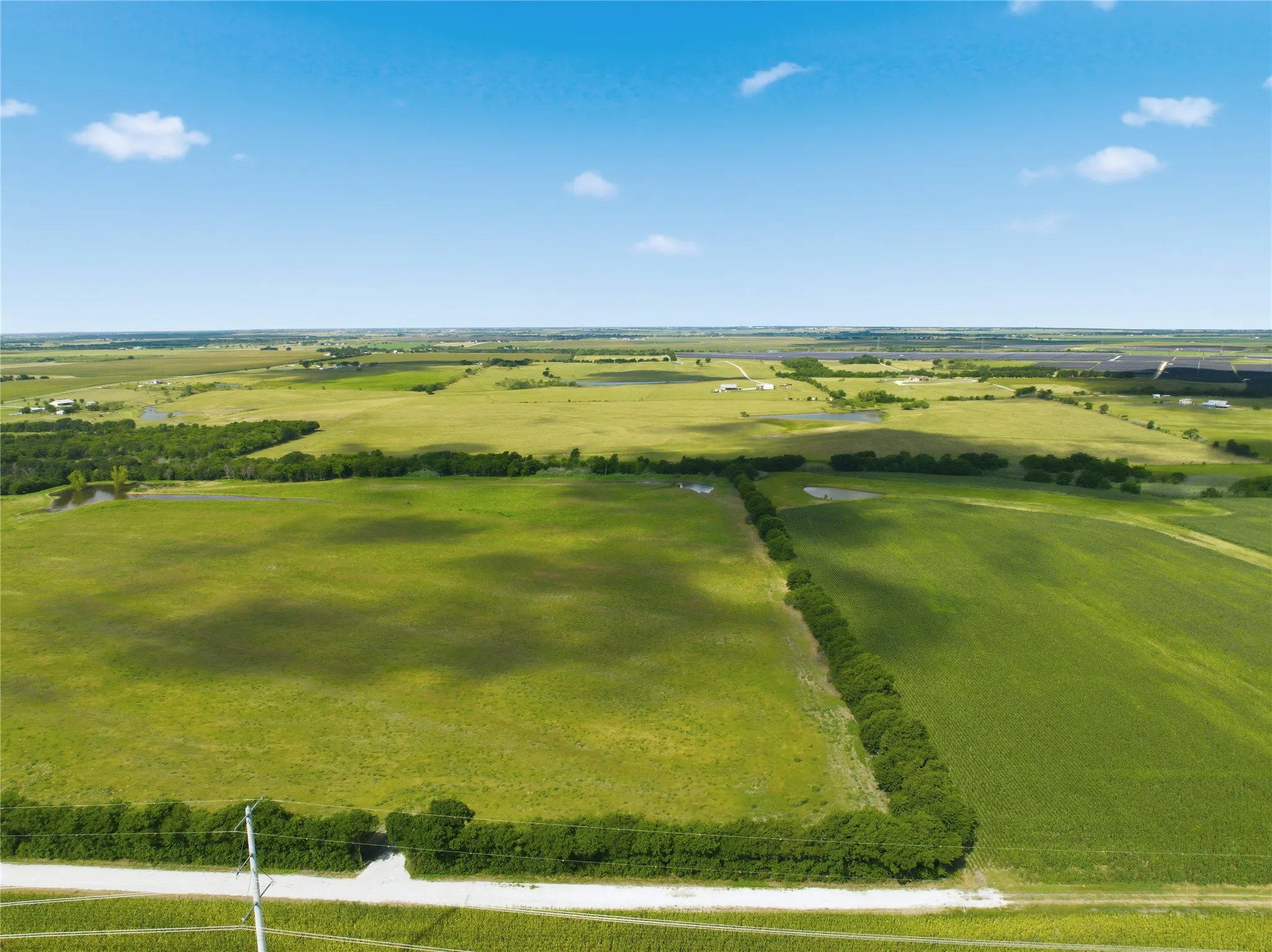 Expansive open fields featuring lush green vegetation and a clear blue sky