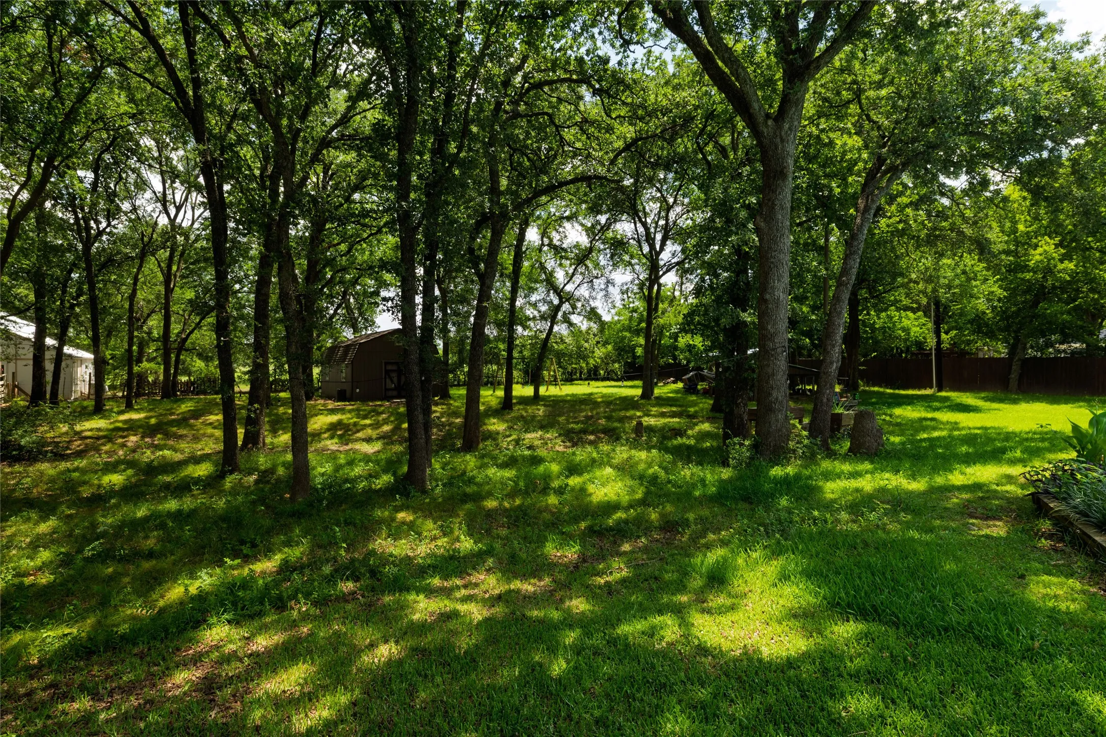 Expansive green space featuring numerous mature trees providing natural canopy