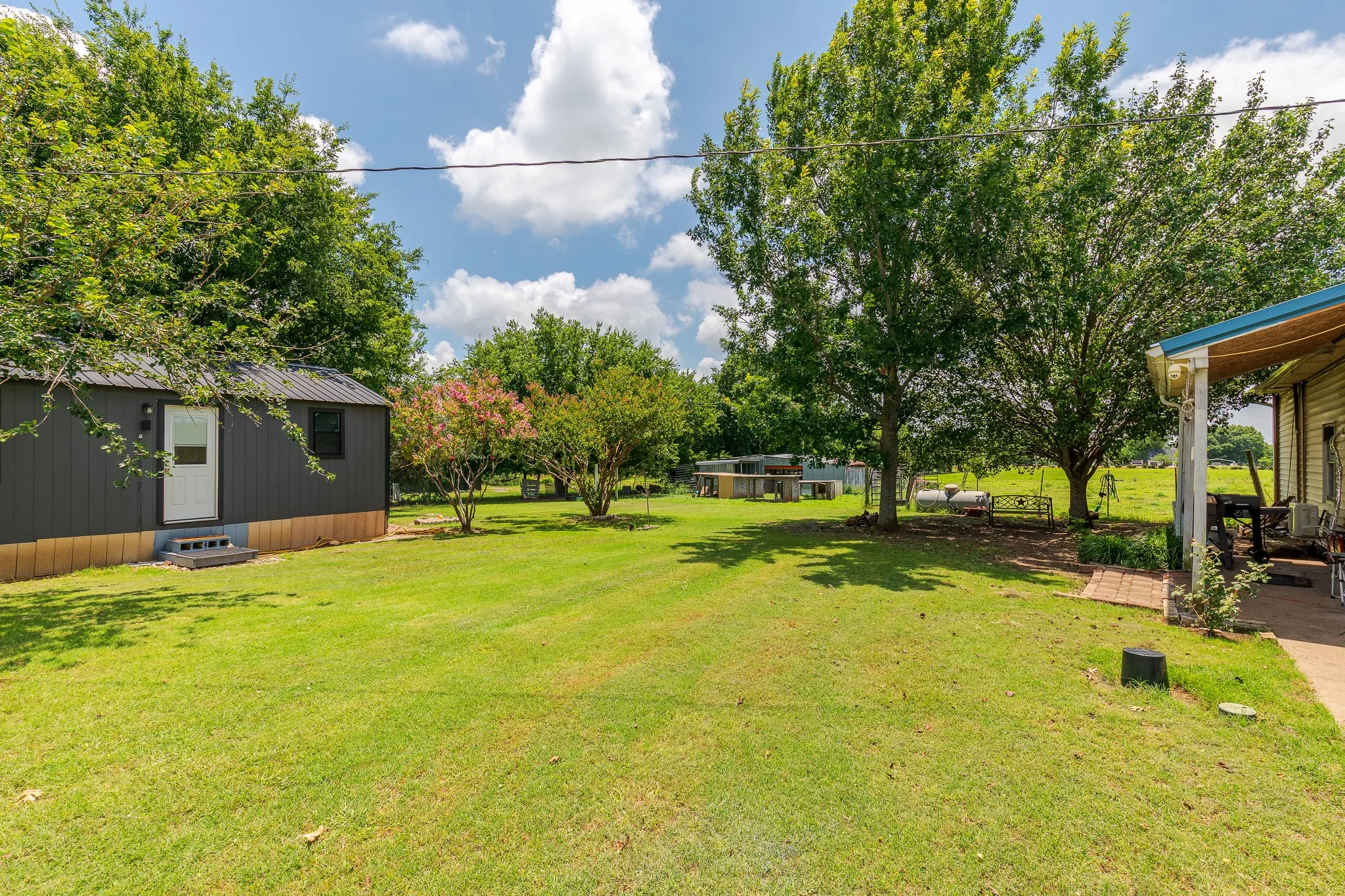 Large Open Yard
