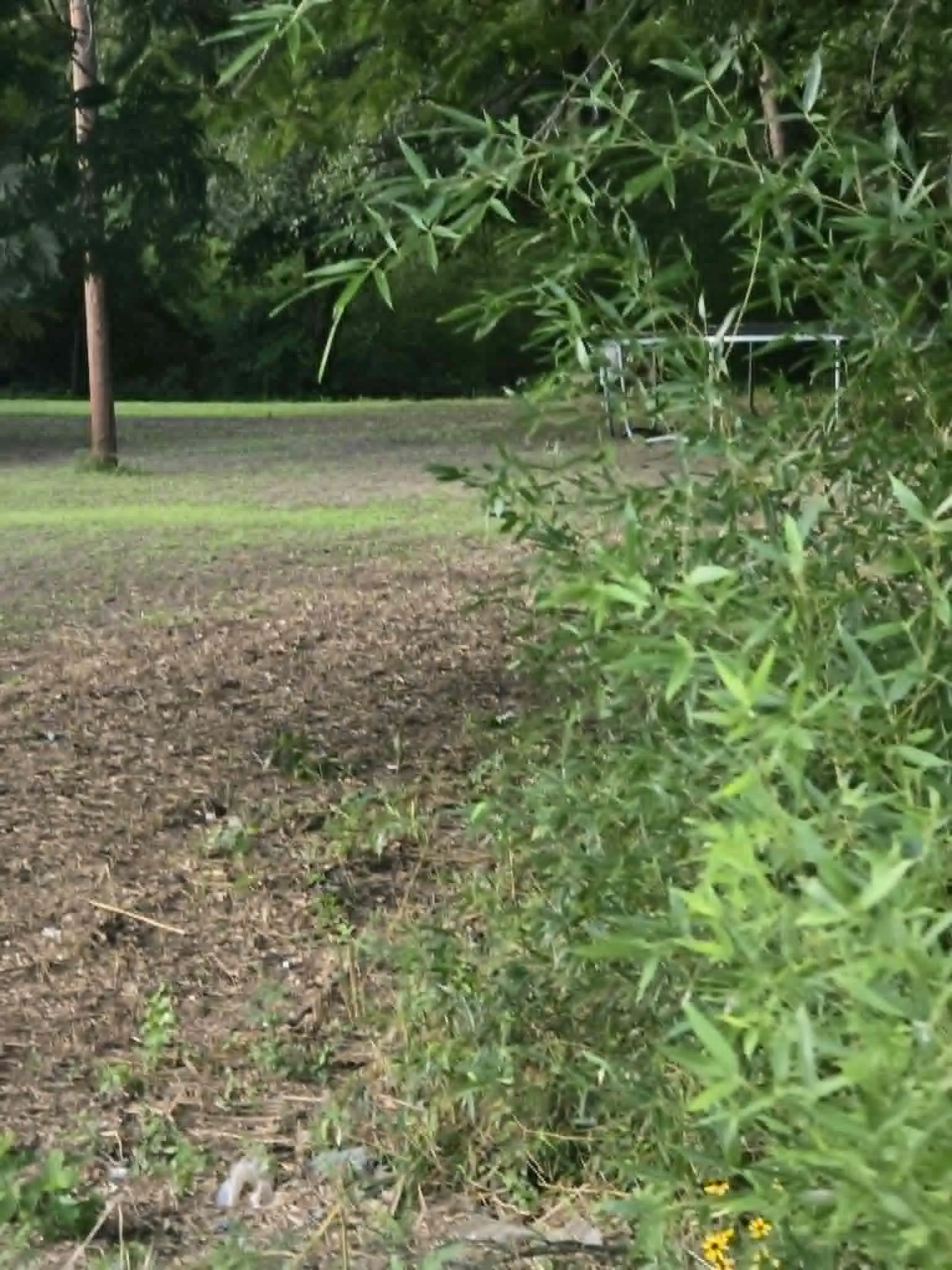 Unimproved Land For Sale in Morris County , TBD W Hwy 49, Daingerfield, Texas 75638, 0, 0, Garage spaces, 0 Sqft, built in 0, mls#21307975, Real Estate Agent in Daingerfield, Homes For Sale in Morris county, Homes For Sale in Daingerfield, Realtor in Daingerfield Texas, Real Estate Brokerage Independent Realty Texas, Luminita Cordes Realtor