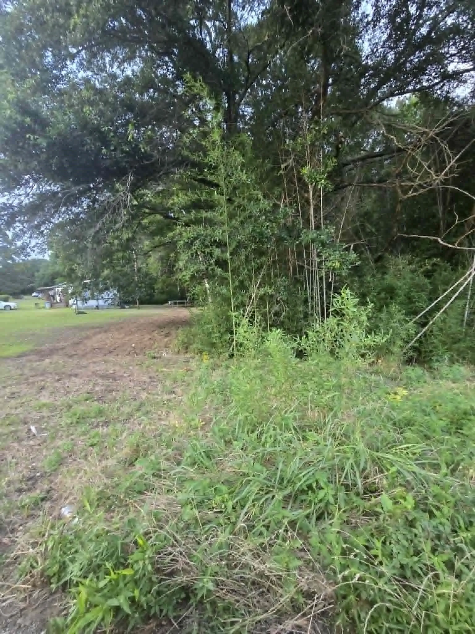 Unimproved Land For Sale in Morris County , TBD W Hwy 49, Daingerfield, Texas 75638, 0, 0, Garage spaces, 0 Sqft, built in 0, mls#21307975, Real Estate Agent in Daingerfield, Homes For Sale in Morris county, Homes For Sale in Daingerfield, Realtor in Daingerfield Texas, Real Estate Brokerage Independent Realty Texas, Luminita Cordes Realtor