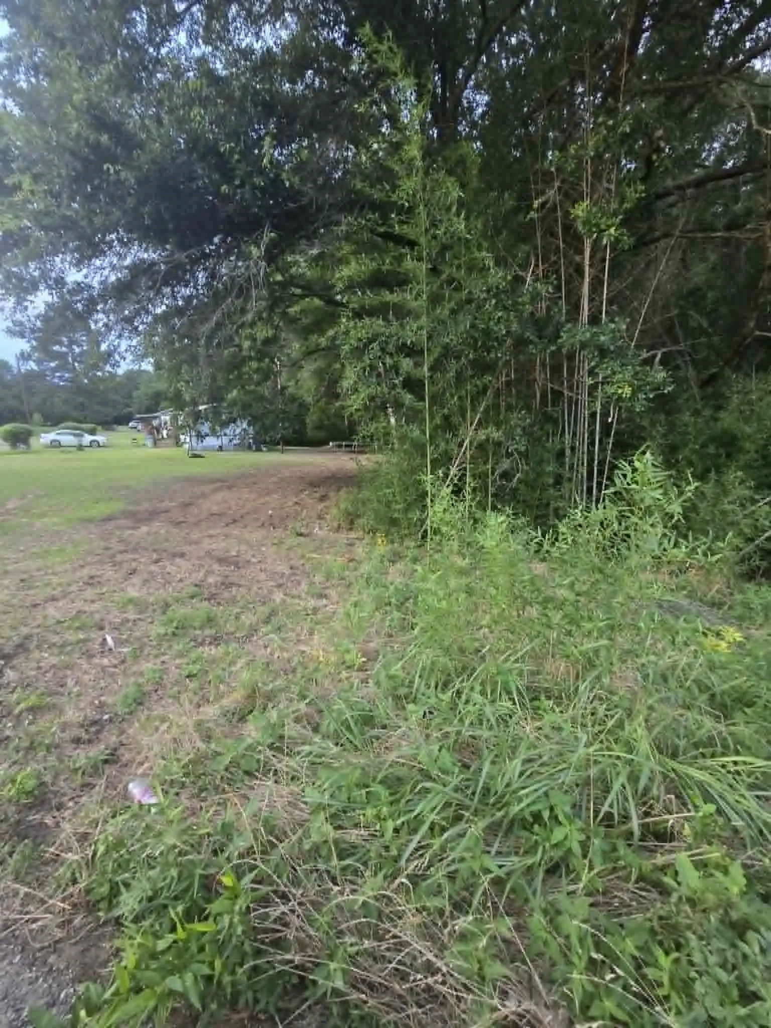 Unimproved Land For Sale in Morris County , TBD W Hwy 49, Daingerfield, Texas 75638, 0, 0, Garage spaces, 0 Sqft, built in 0, mls#21307975, Real Estate Agent in Daingerfield, Homes For Sale in Morris county, Homes For Sale in Daingerfield, Realtor in Daingerfield Texas, Real Estate Brokerage Independent Realty Texas, Luminita Cordes Realtor