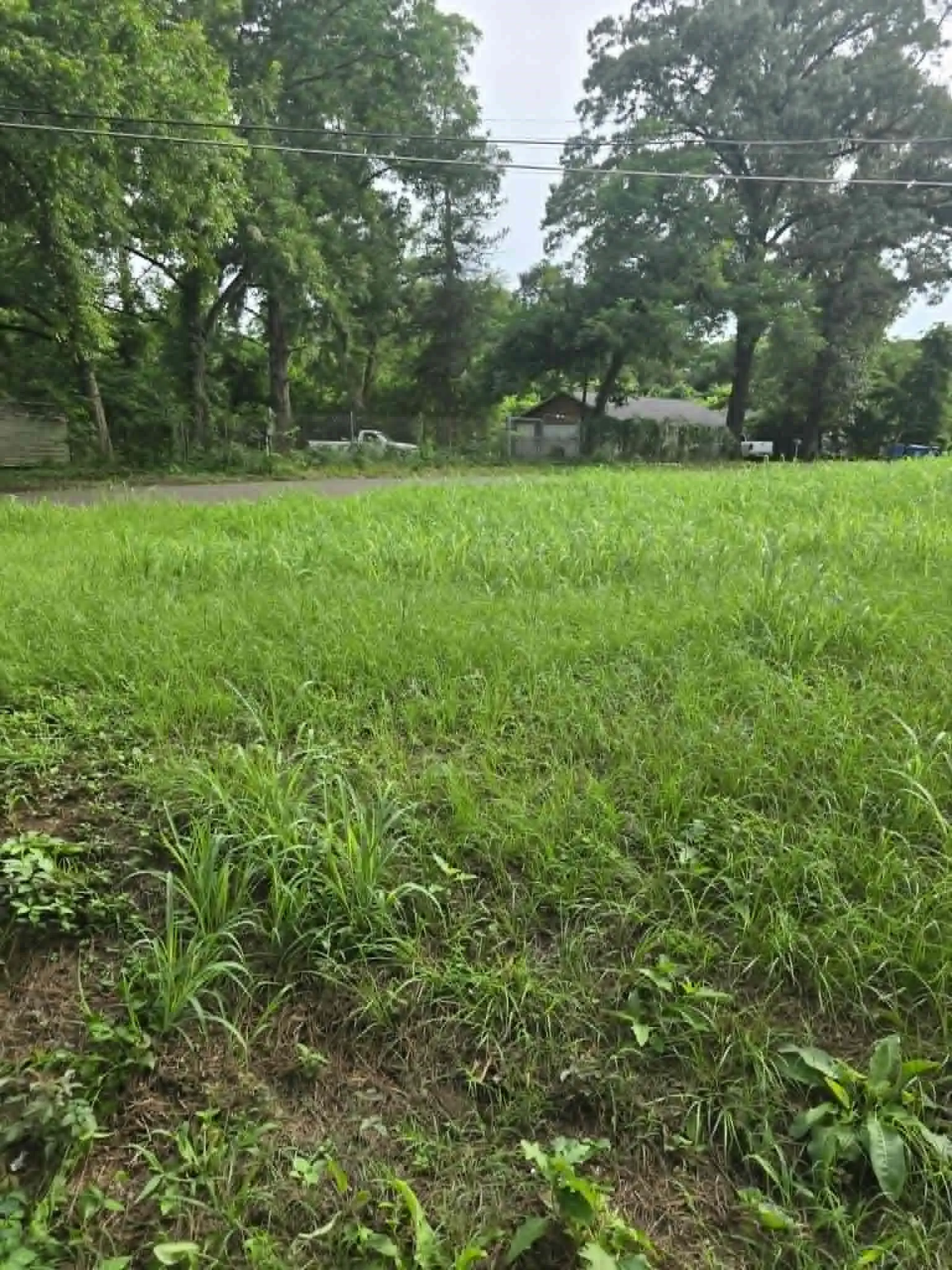 Unimproved Land For Sale in Morris County , 800 Webb Street, Daingerfield, Texas 75638, 0, 0, Garage spaces, 0 Sqft, built in 0, Price $8,000, mls#21308028, Real Estate Agent in Daingerfield, Homes For Sale in Morris county, Homes For Sale in Daingerfield, Realtor in Daingerfield Texas, Real Estate Brokerage Independent Realty Texas, Luminita Cordes Realtor