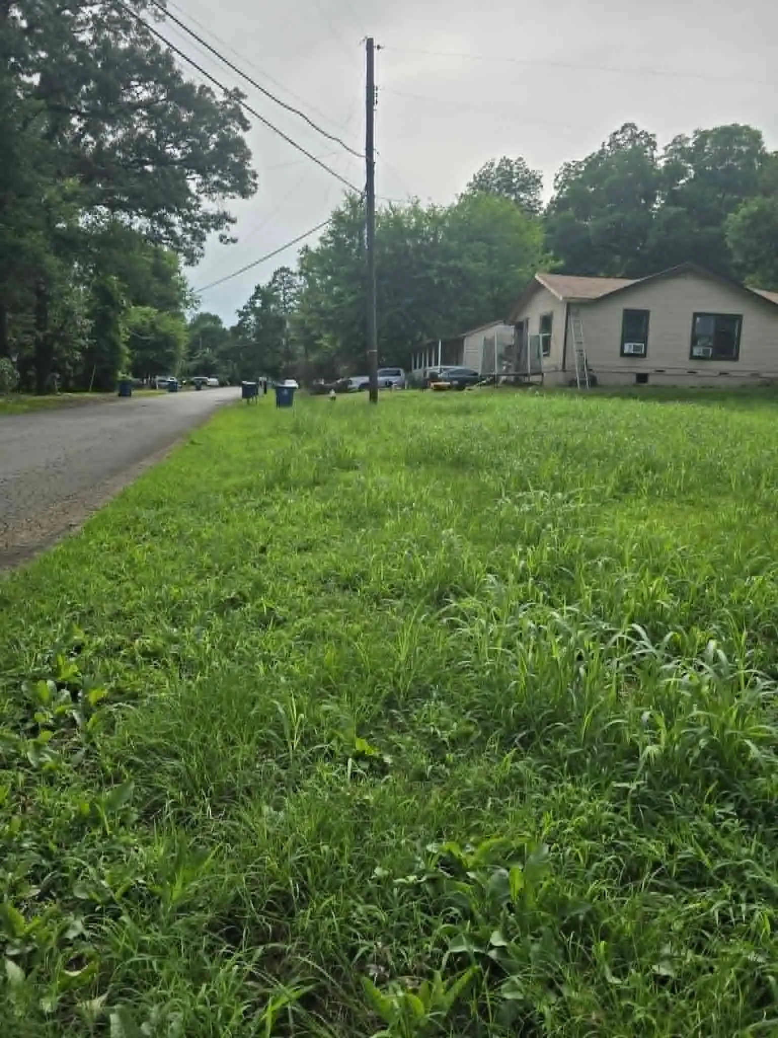 Unimproved Land For Sale in Morris County , 800 Webb Street, Daingerfield, Texas 75638, 0, 0, Garage spaces, 0 Sqft, built in 0, Price $8,000, mls#21308028, Real Estate Agent in Daingerfield, Homes For Sale in Morris county, Homes For Sale in Daingerfield, Realtor in Daingerfield Texas, Real Estate Brokerage Independent Realty Texas, Luminita Cordes Realtor