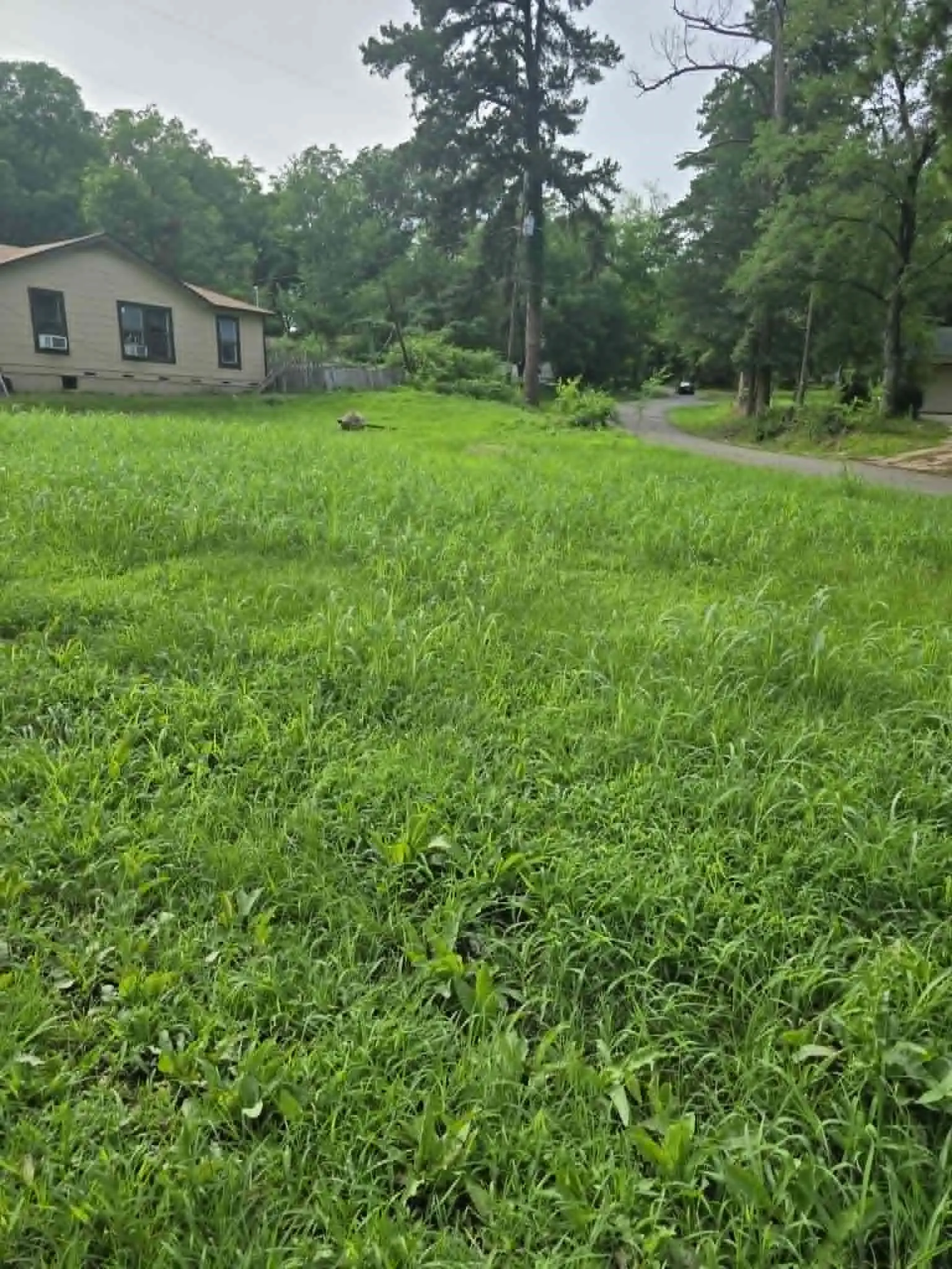 Unimproved Land For Sale in Morris County , 800 Webb Street, Daingerfield, Texas 75638, 0, 0, Garage spaces, 0 Sqft, built in 0, Price $8,000, mls#21308028, Real Estate Agent in Daingerfield, Homes For Sale in Morris county, Homes For Sale in Daingerfield, Realtor in Daingerfield Texas, Real Estate Brokerage Independent Realty Texas, Luminita Cordes Realtor