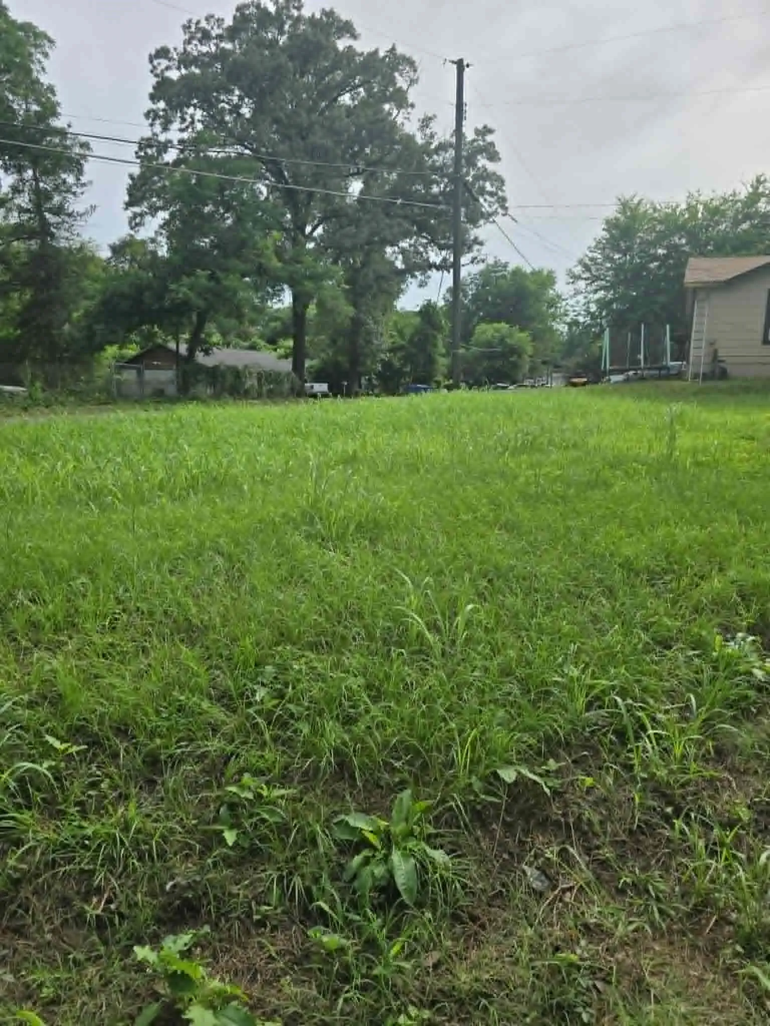 Unimproved Land For Sale in Morris County , 800 Webb Street, Daingerfield, Texas 75638, 0, 0, Garage spaces, 0 Sqft, built in 0, Price $8,000, mls#21308028, Real Estate Agent in Daingerfield, Homes For Sale in Morris county, Homes For Sale in Daingerfield, Realtor in Daingerfield Texas, Real Estate Brokerage Independent Realty Texas, Luminita Cordes Realtor