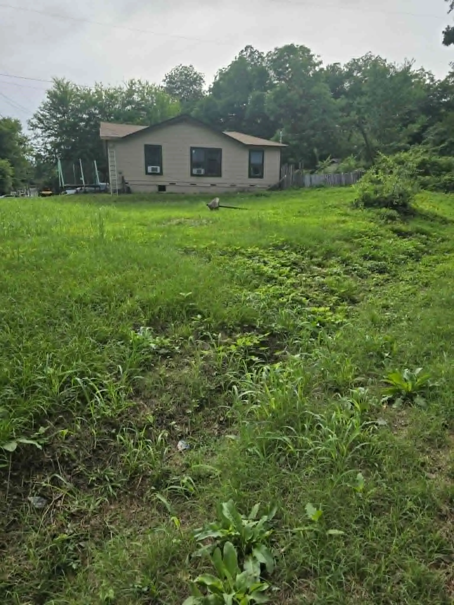 Unimproved Land For Sale in Morris County , 800 Webb Street, Daingerfield, Texas 75638, 0, 0, Garage spaces, 0 Sqft, built in 0, Price $8,000, mls#21308028, Real Estate Agent in Daingerfield, Homes For Sale in Morris county, Homes For Sale in Daingerfield, Realtor in Daingerfield Texas, Real Estate Brokerage Independent Realty Texas, Luminita Cordes Realtor