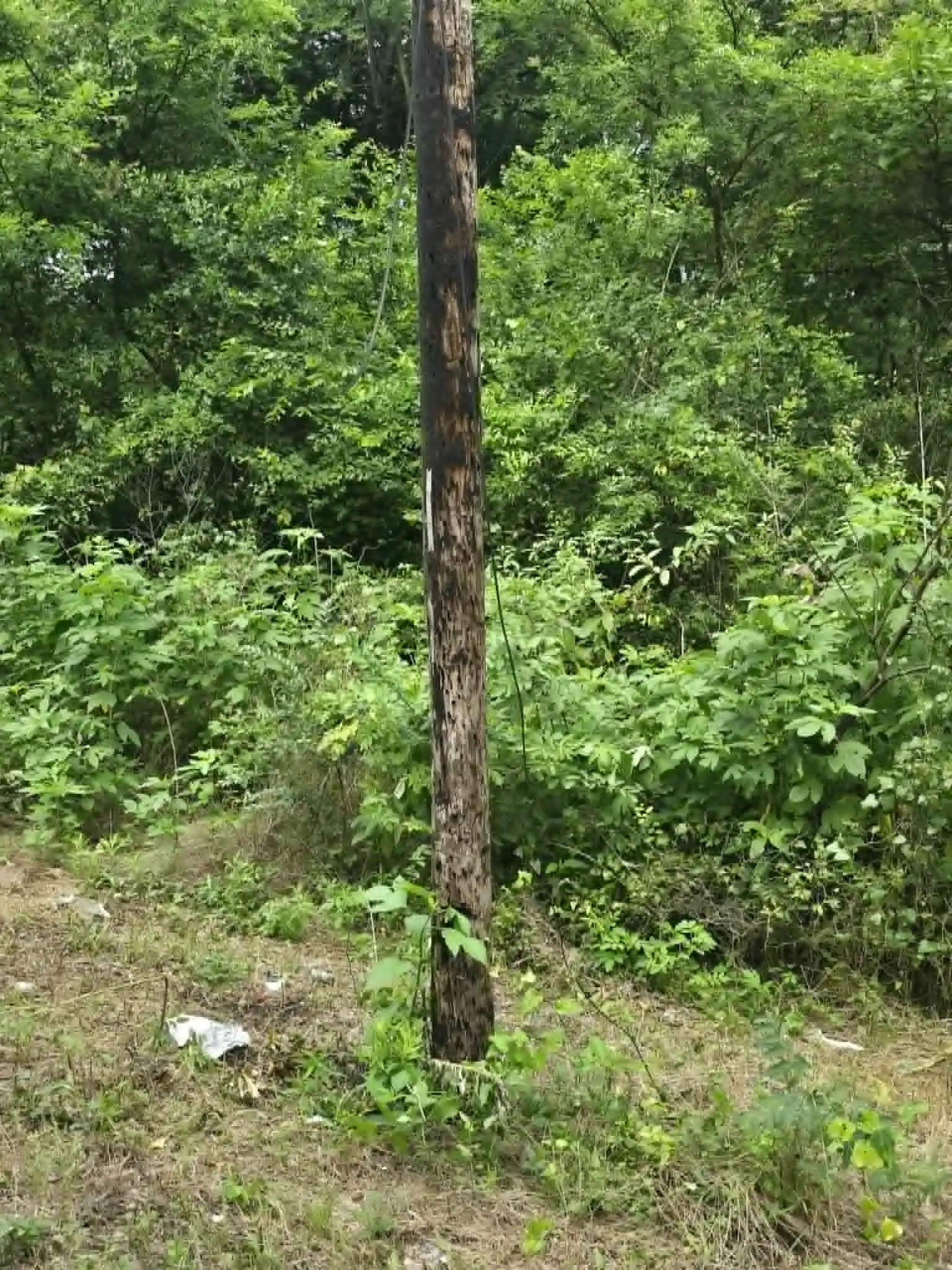 Unimproved Land For Sale in Morris County , TBD Sellars Street, Daingerfield, Texas 75638, 0, 0, Garage spaces, 0 Sqft, built in 0, mls#21308047, Real Estate Agent in Daingerfield, Homes For Sale in Morris county, Homes For Sale in Daingerfield, Realtor in Daingerfield Texas, Real Estate Brokerage Independent Realty Texas, Luminita Cordes Realtor
