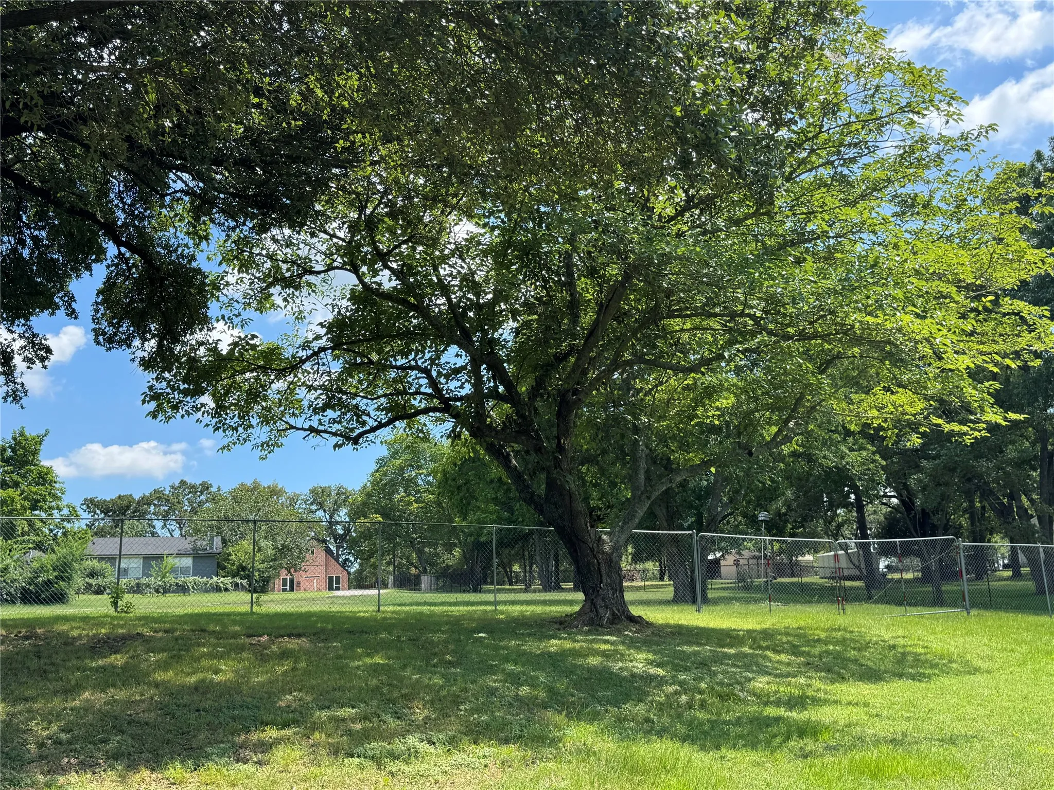 Expansive grassy lot featuring mature trees and established chain-link fencing to HOA area a block away.