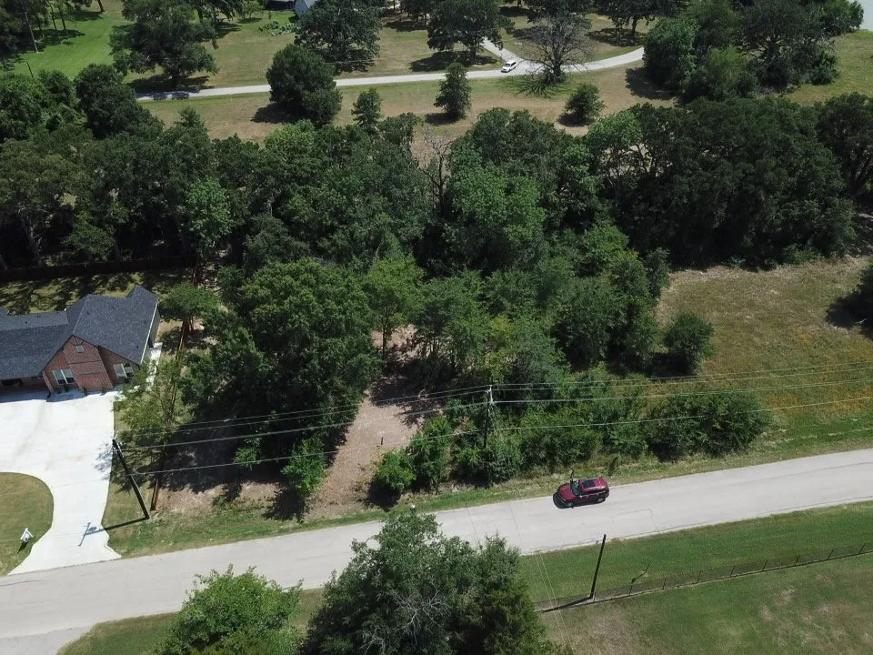 Expansive wooded lot with mature trees