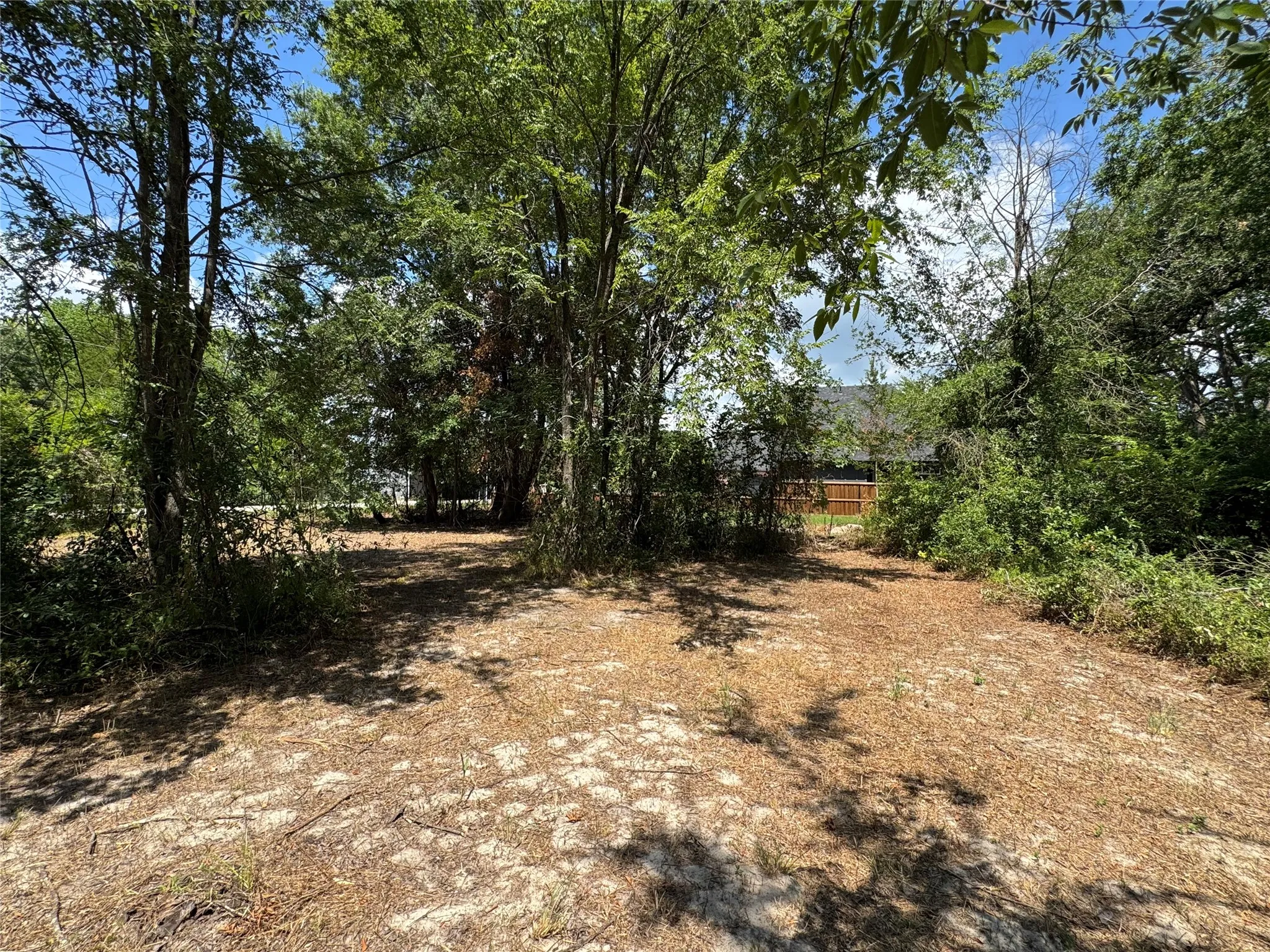 Wooded lot with mature trees and  natural ground cover