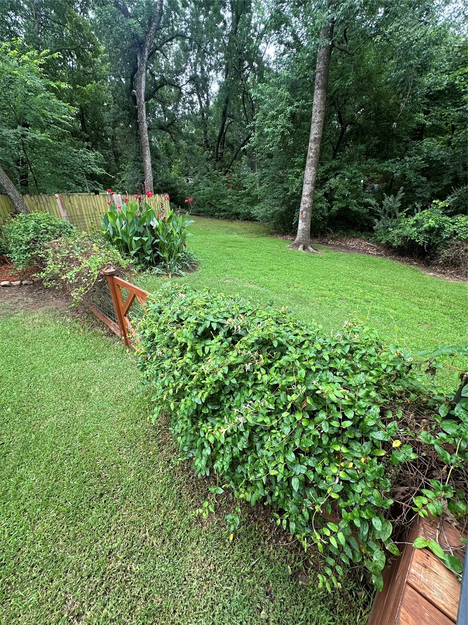 Expansive green lawn surrounded by mature trees