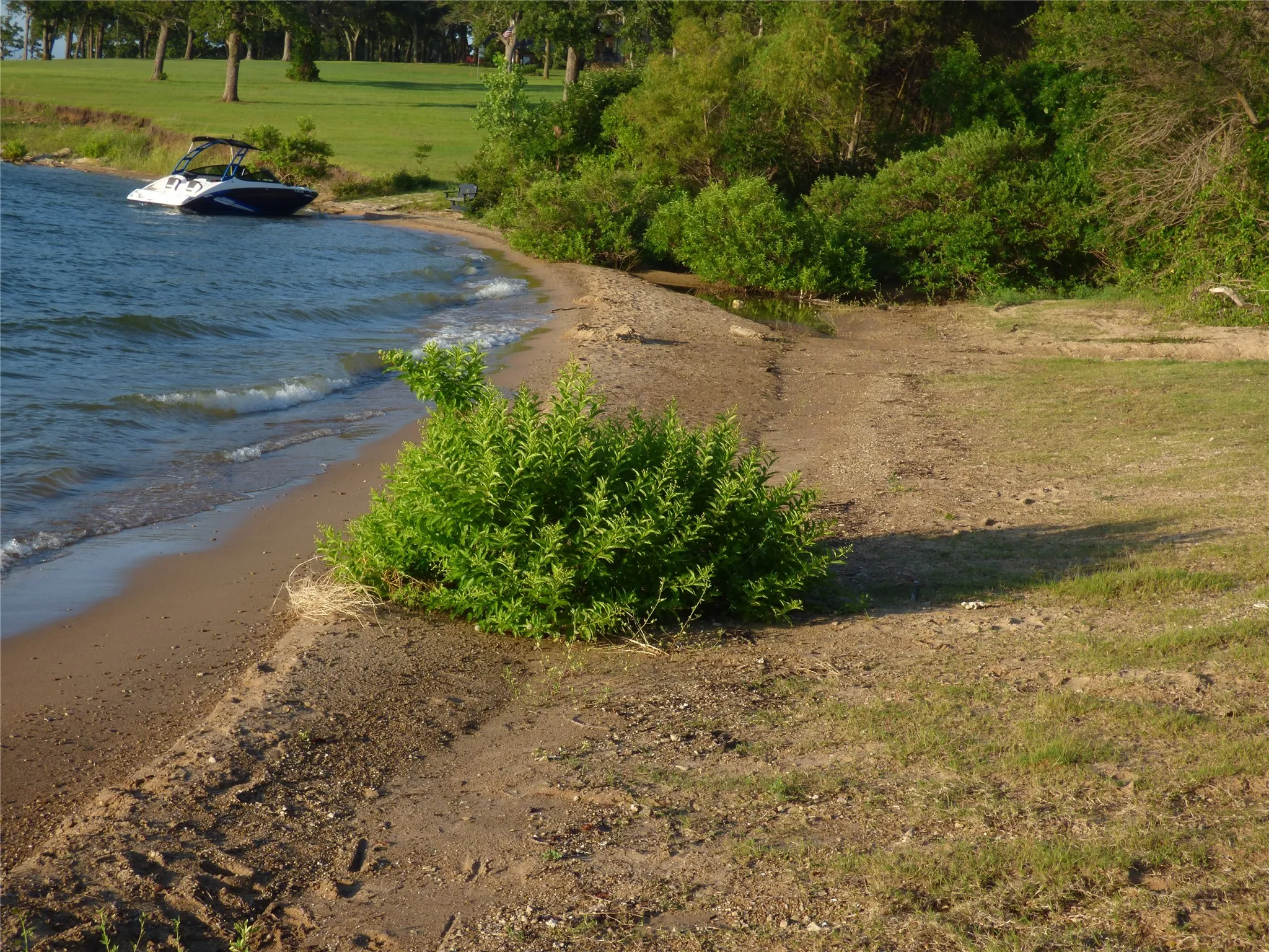  featuring a sandy beach, green lawn, and mature trees