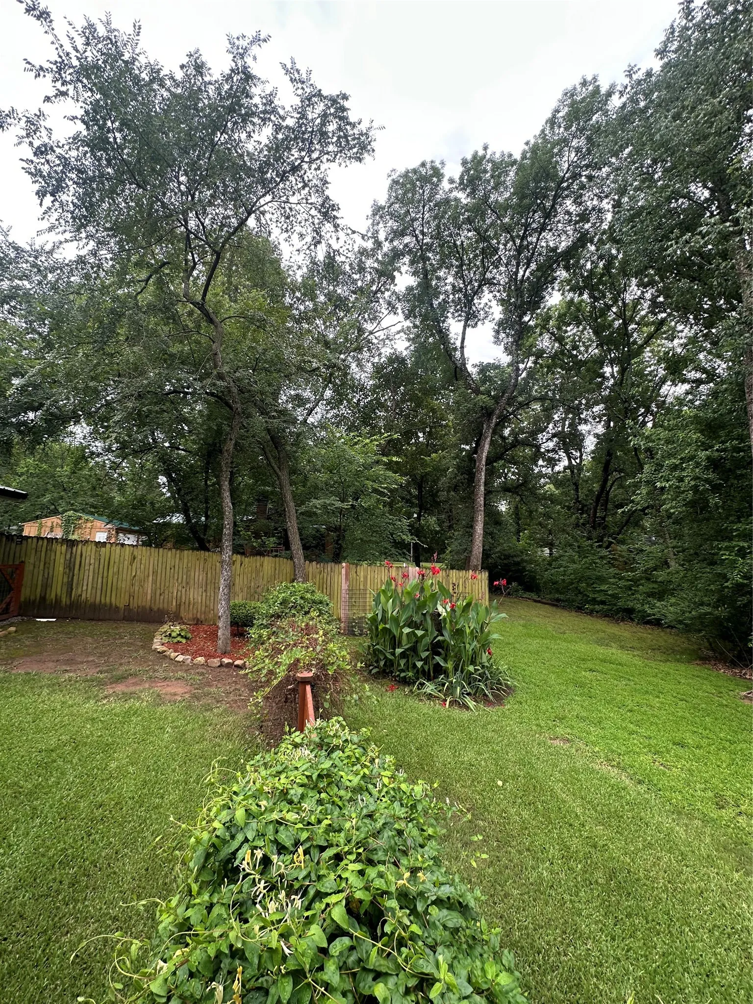 Expansive green lawn with mature trees and a wood picket fence