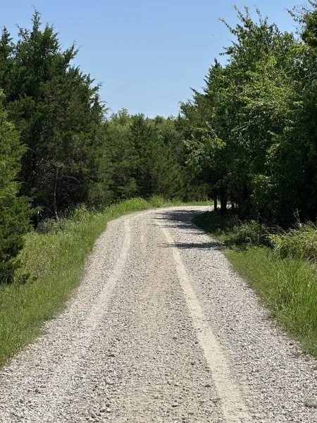 Gravel driveway bordered by mature trees and natural landscaping