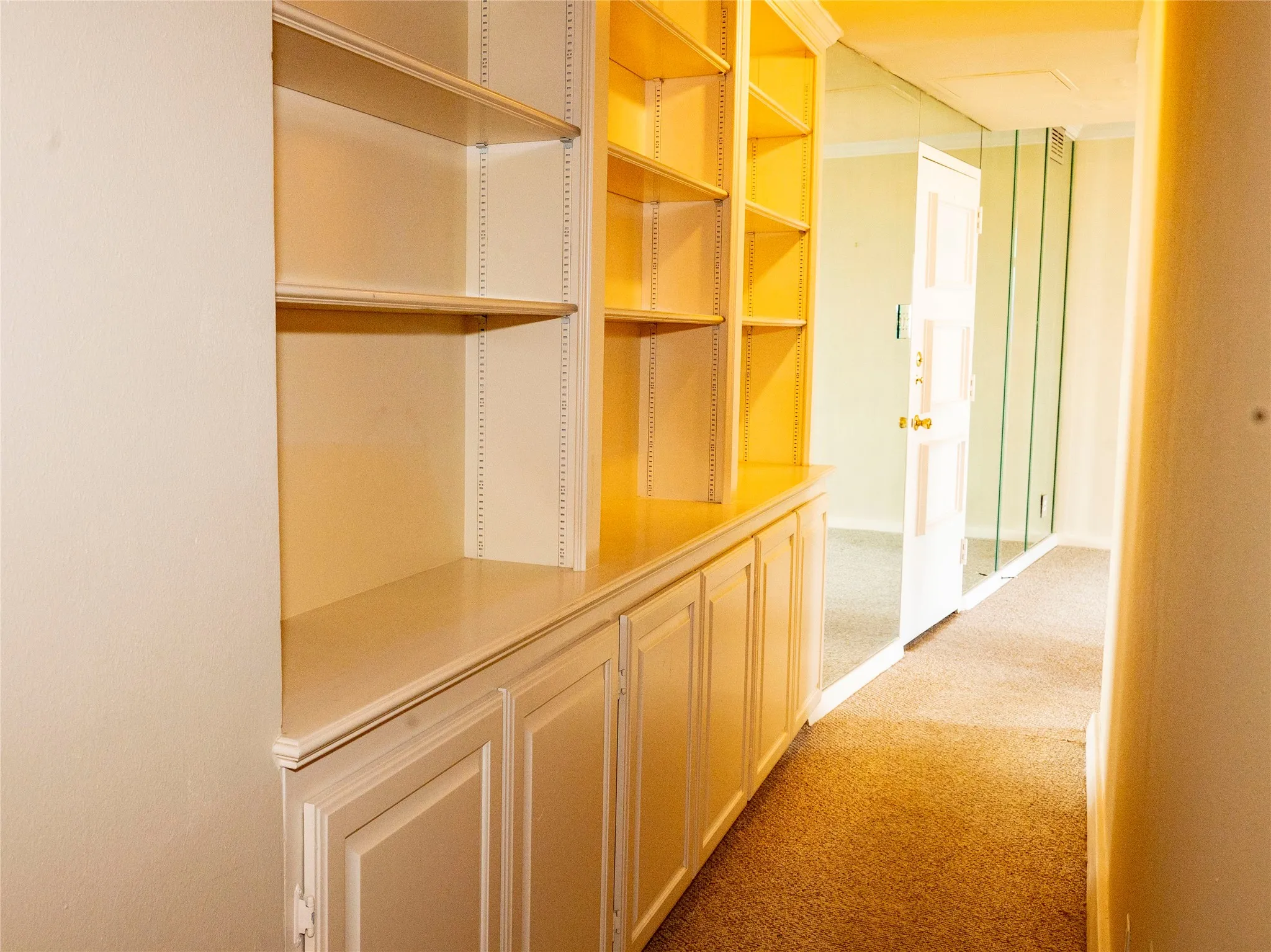 Bookshelves in Hallway