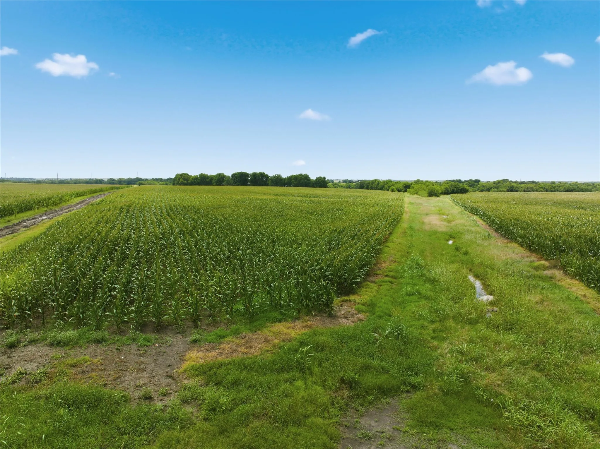 Ranch For Sale in Hill County , 290 Hcr 3424 W, Malone, Texas 76660, 0, 0, Garage spaces, 0 Sqft, built in 0, Price $849,000, mls#21305117, Real Estate Agent in Malone, Homes For Sale in Hill county, Homes For Sale in Malone, Realtor in Malone Texas, Real Estate Brokerage Independent Realty Texas, Luminita Cordes Realtor