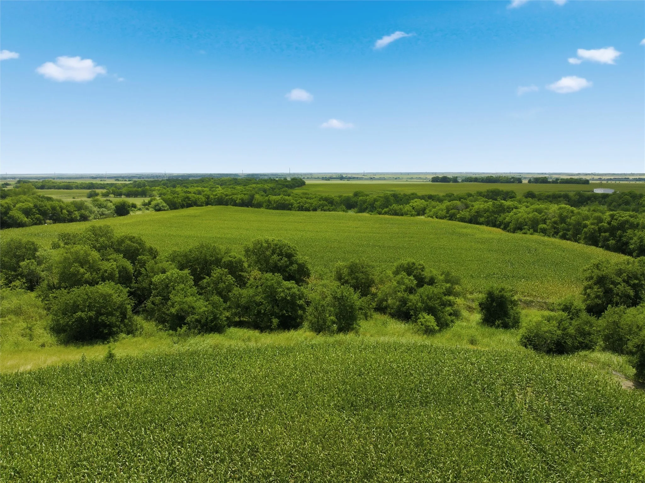 Ranch For Sale in Hill County , 290 Hcr 3424 W, Malone, Texas 76660, 0, 0, Garage spaces, 0 Sqft, built in 0, Price $849,000, mls#21305117, Real Estate Agent in Malone, Homes For Sale in Hill county, Homes For Sale in Malone, Realtor in Malone Texas, Real Estate Brokerage Independent Realty Texas, Luminita Cordes Realtor
