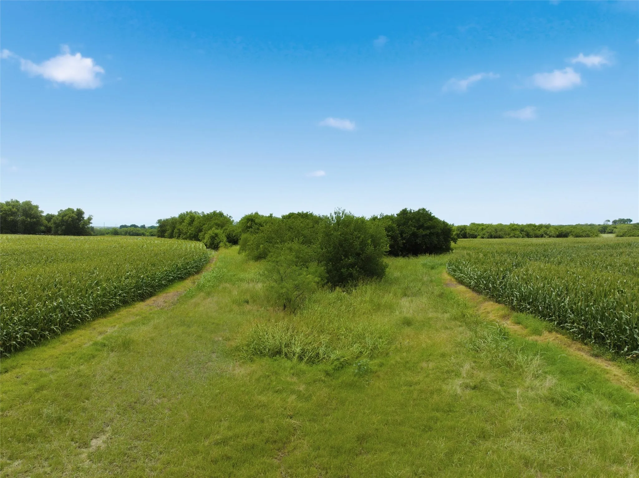 Ranch For Sale in Hill County , 290 Hcr 3424 W, Malone, Texas 76660, 0, 0, Garage spaces, 0 Sqft, built in 0, Price $849,000, mls#21305117, Real Estate Agent in Malone, Homes For Sale in Hill county, Homes For Sale in Malone, Realtor in Malone Texas, Real Estate Brokerage Independent Realty Texas, Luminita Cordes Realtor