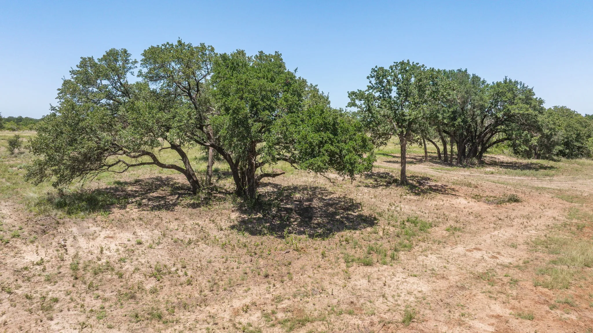 Unimproved Land For Sale in Erath County , TBD Tr 2 CR 164, Stephenville, Texas 76401, 0, 0, Garage spaces, 0 Sqft, built in 0, mls#21308114, Real Estate Agent in Stephenville, Homes For Sale in Erath county, Homes For Sale in Stephenville, Realtor in Stephenville Texas, Real Estate Brokerage Independent Realty Texas, Luminita Cordes Realtor